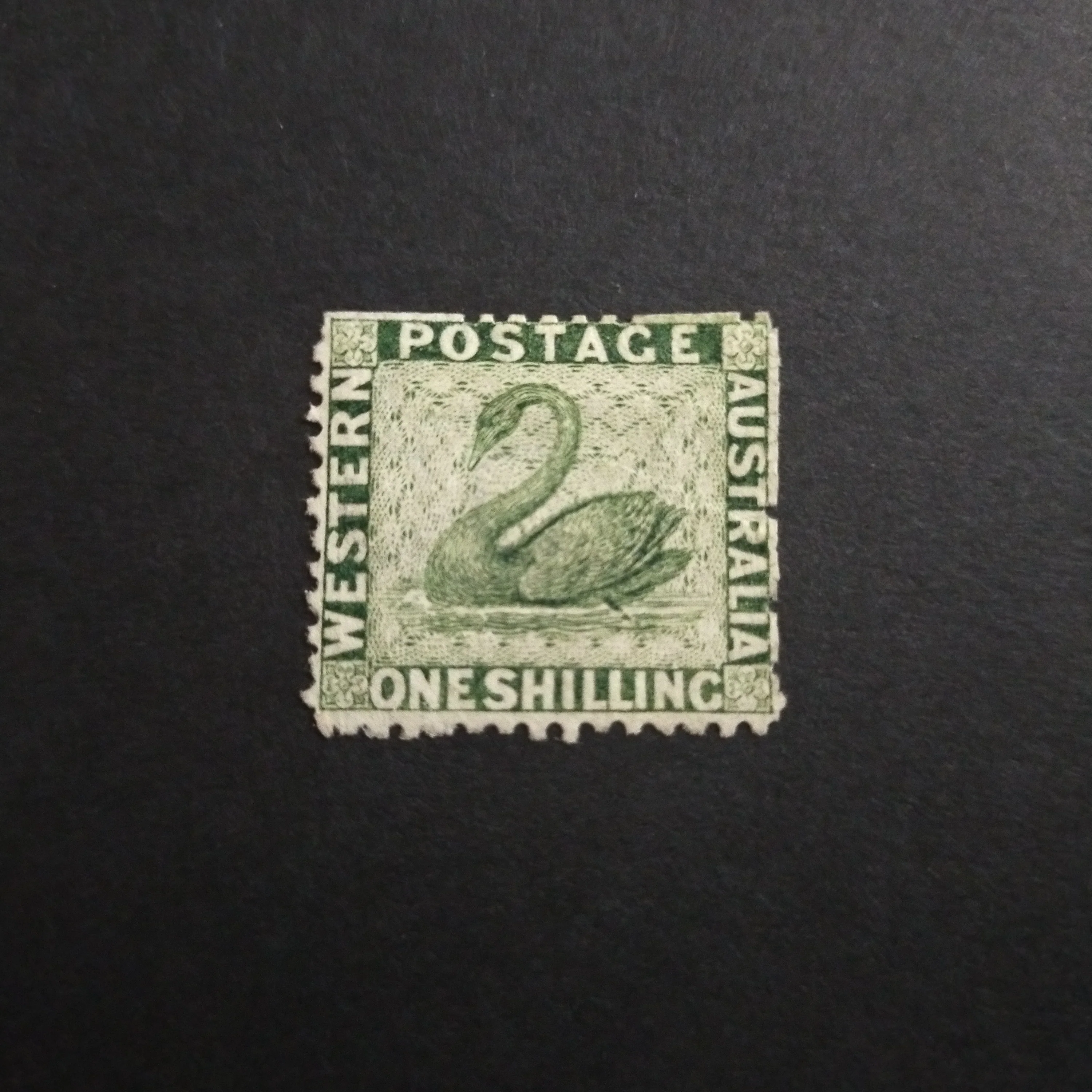 Western Australia SG 62 1868 1/- Sage-Green Swan Stamp Mint Hinged With Part Gum