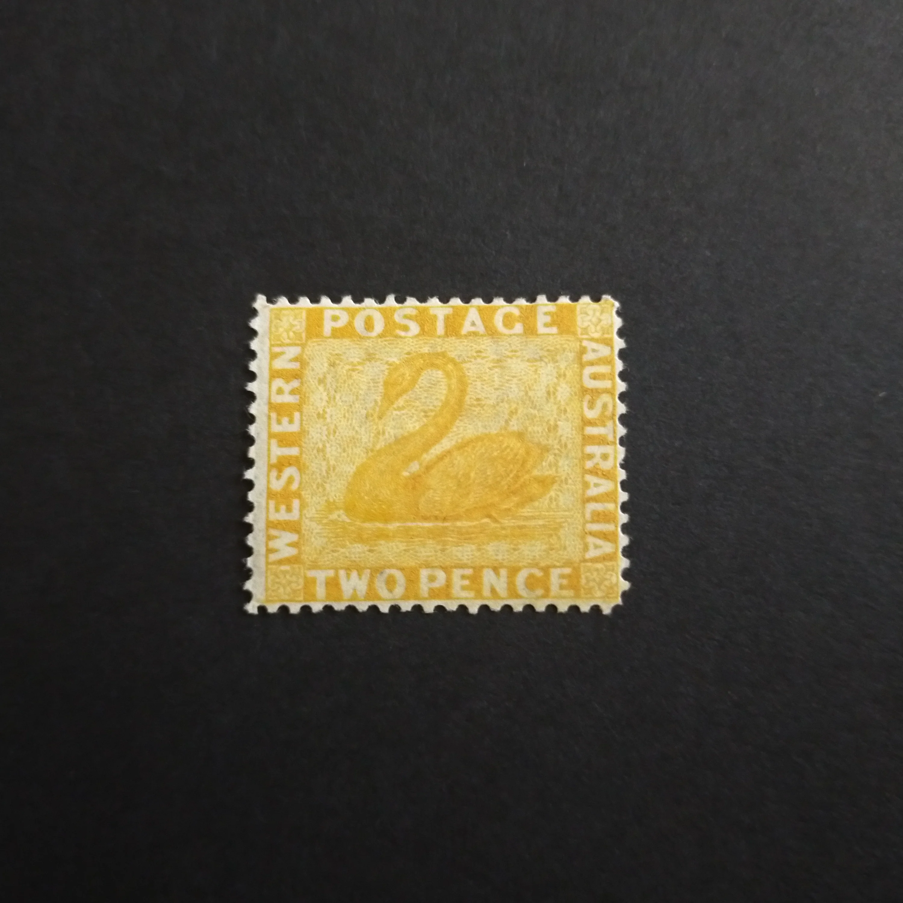 Western Australia SG 71 1876 2d Chrome-Yellow Fresh Swan Stamp MLH Rich Colour