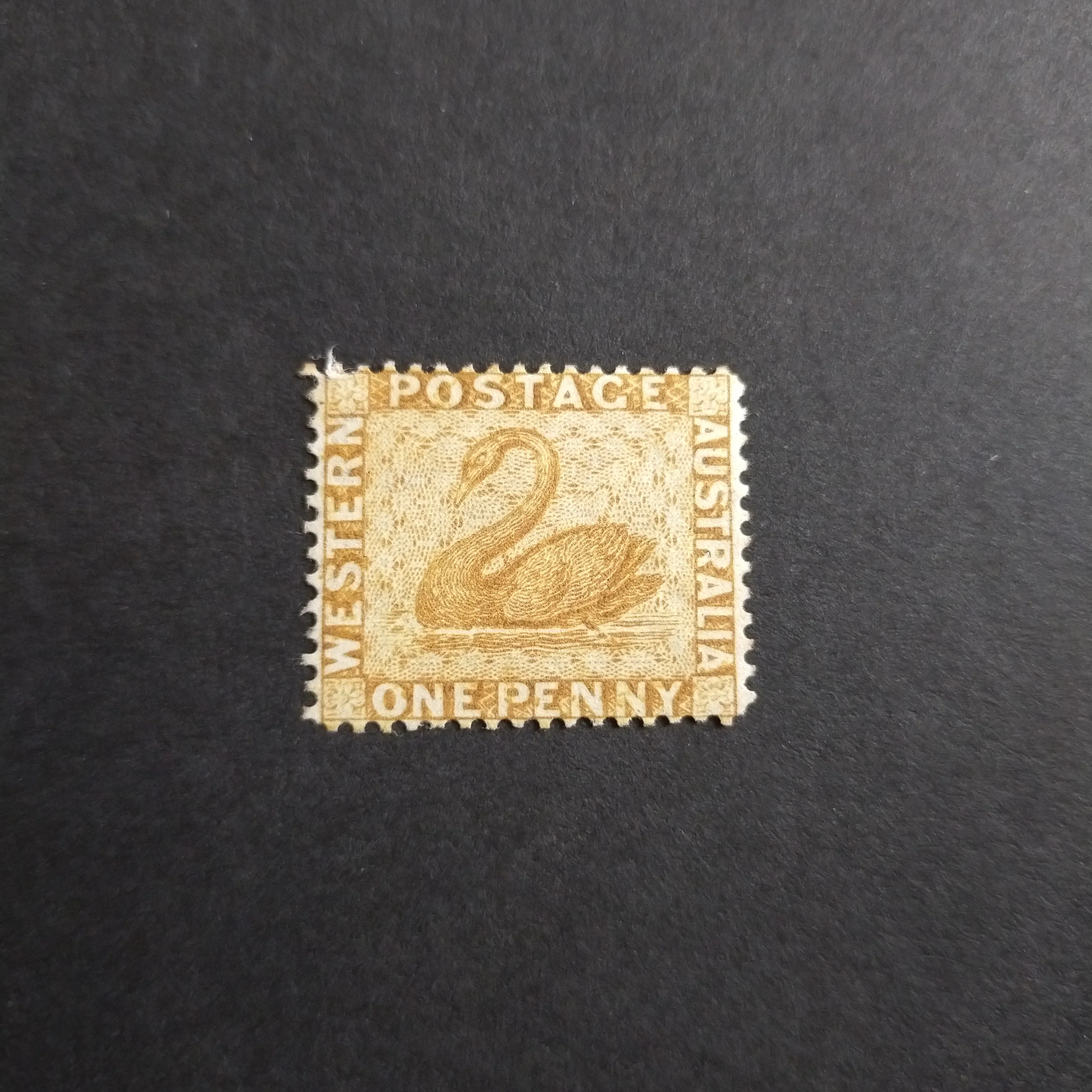 Western Australia SG 69 1876/79 1d Bistre Swan Stamp Mint