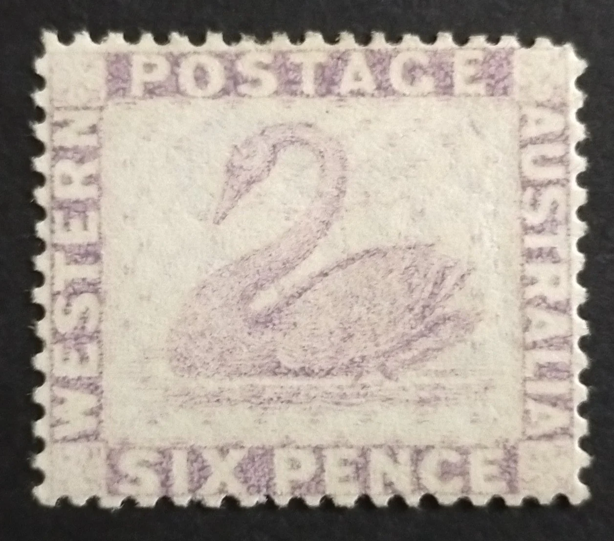 WA Western Australia Australian States 1884 SG 80 6d Pale Lilac Swan Mint Lightly Hinged