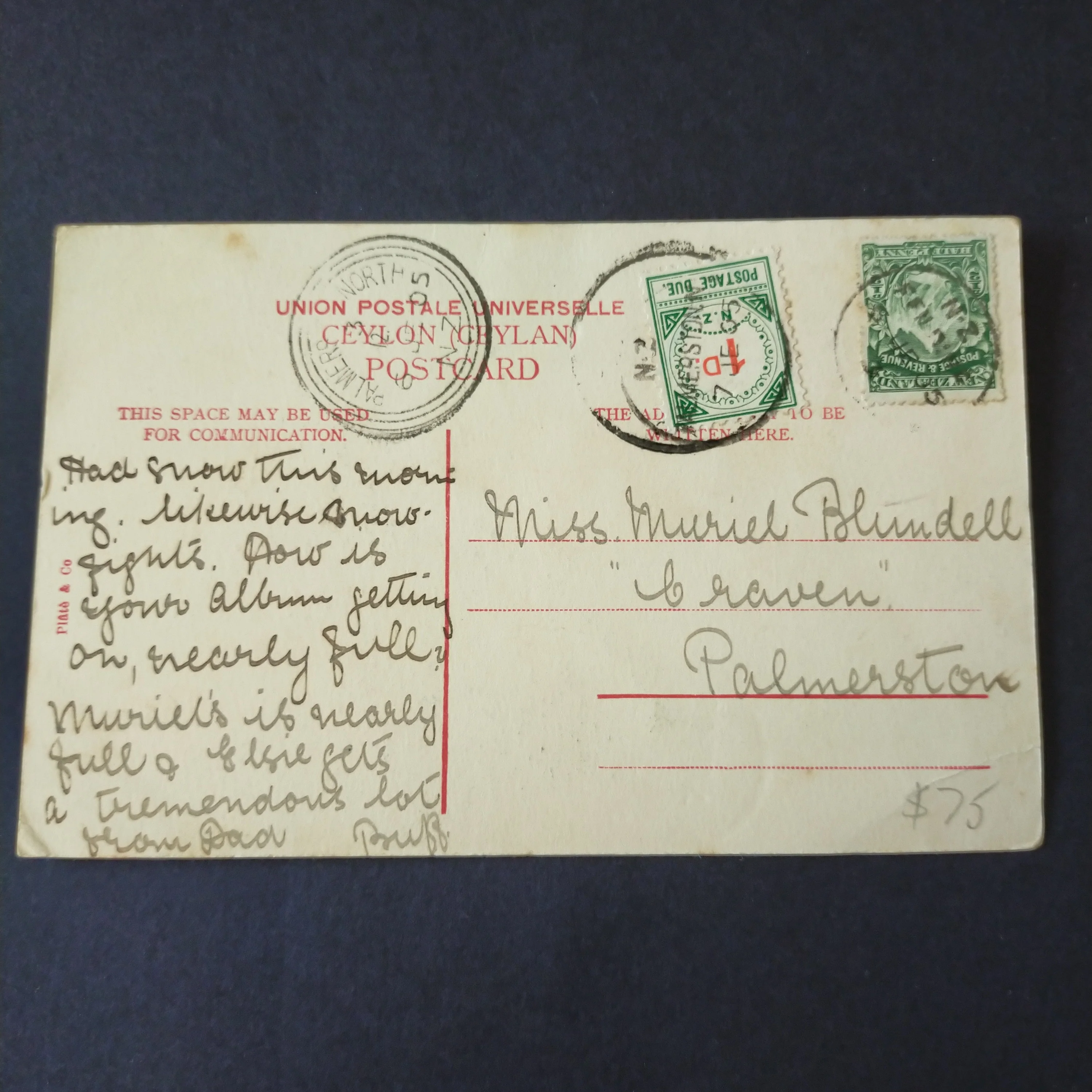 NZ New Zealand 1905 Vintage Postcard Ceylon To Palmerston Greetings From Ceylon Postcard Postage Due - Image 2