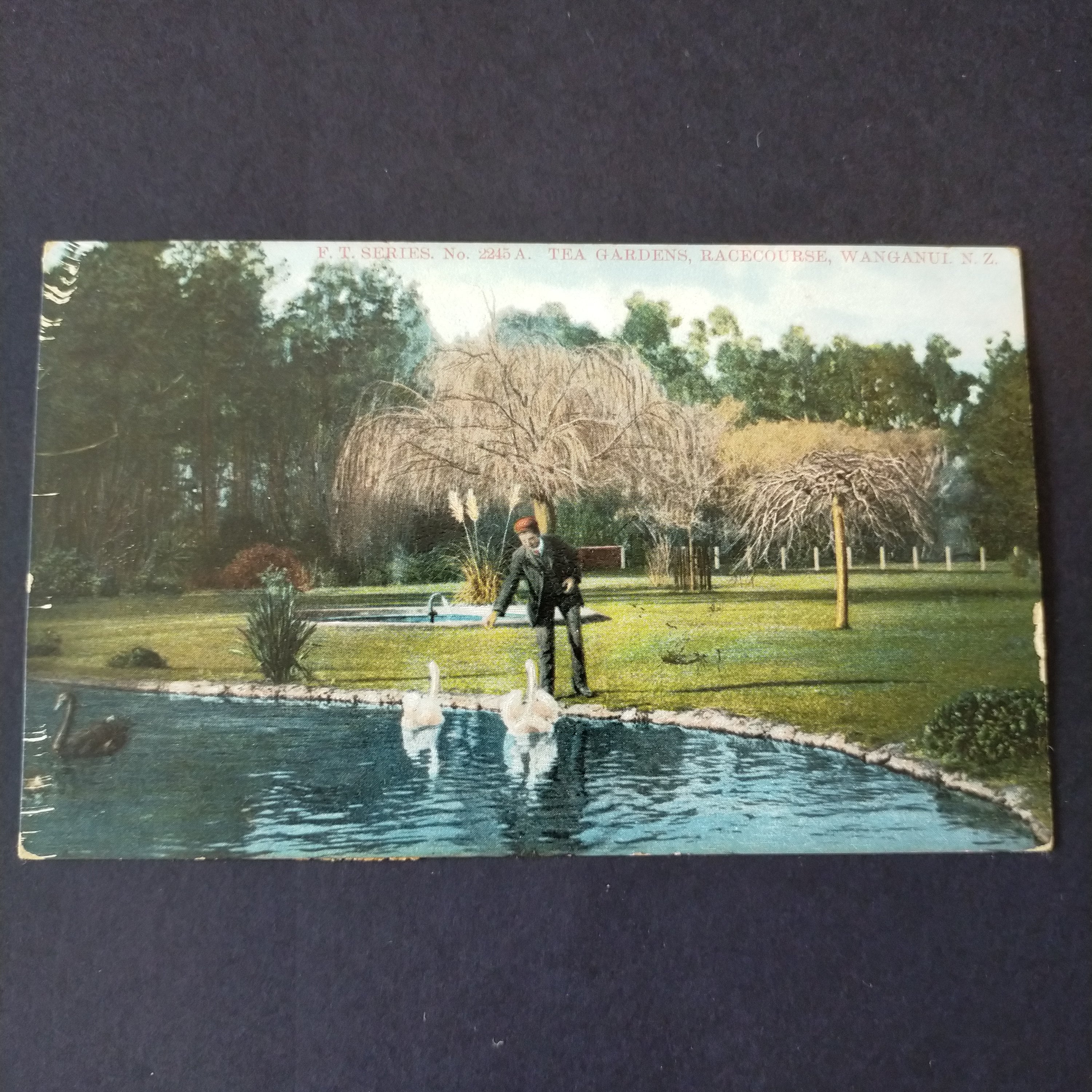 NZ New Zealand 1907 Postcard Tea Gardens, Racecourse. Posted Wanganui To Wellington Postage Due - Image 2