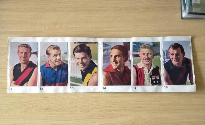 VFL 1964 Mobil Football Photos Complete Album Signed By Collingwood Team on Back - Image 4