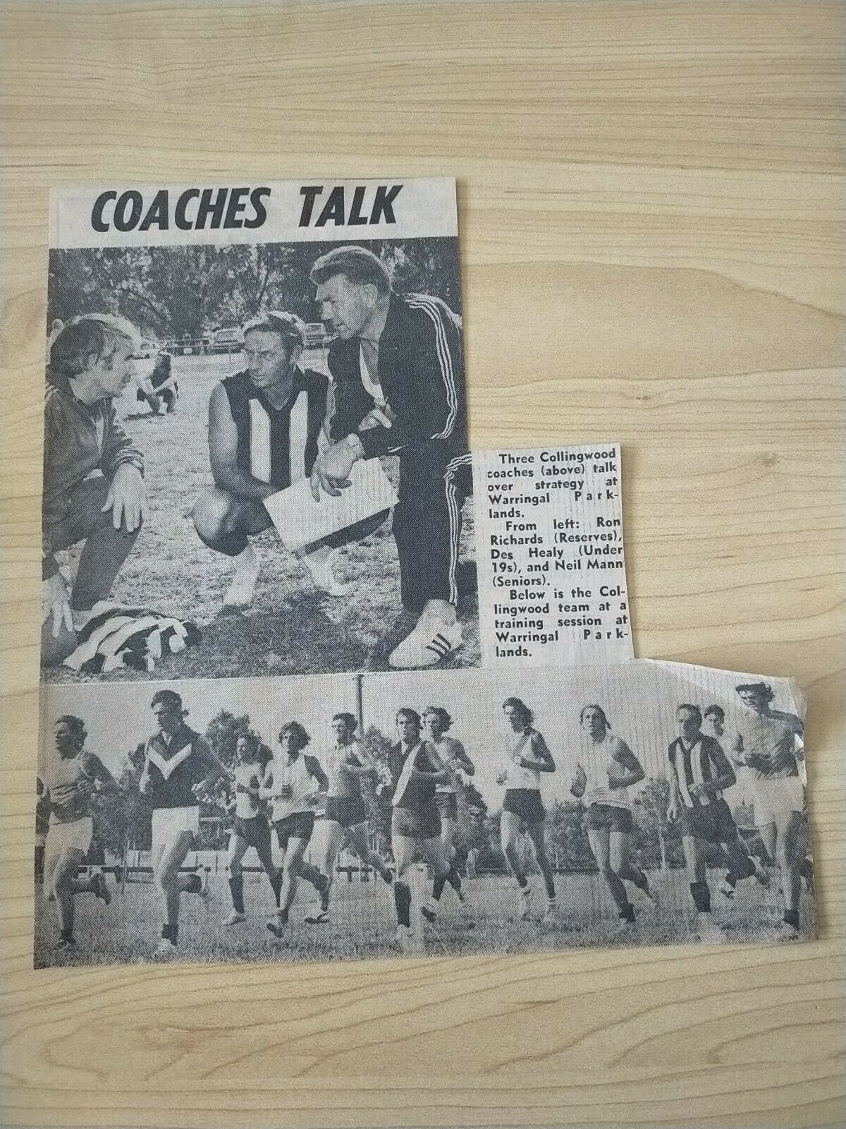 VFL 1973 Collingwood Football Club Newsletter x2 and Newspaper cutting - Image 4