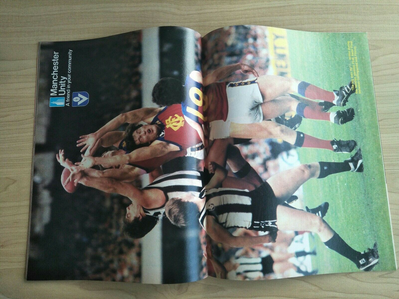 VFL 1981 Preliminary Final Football Record Geelong v Collingwood - Image 2