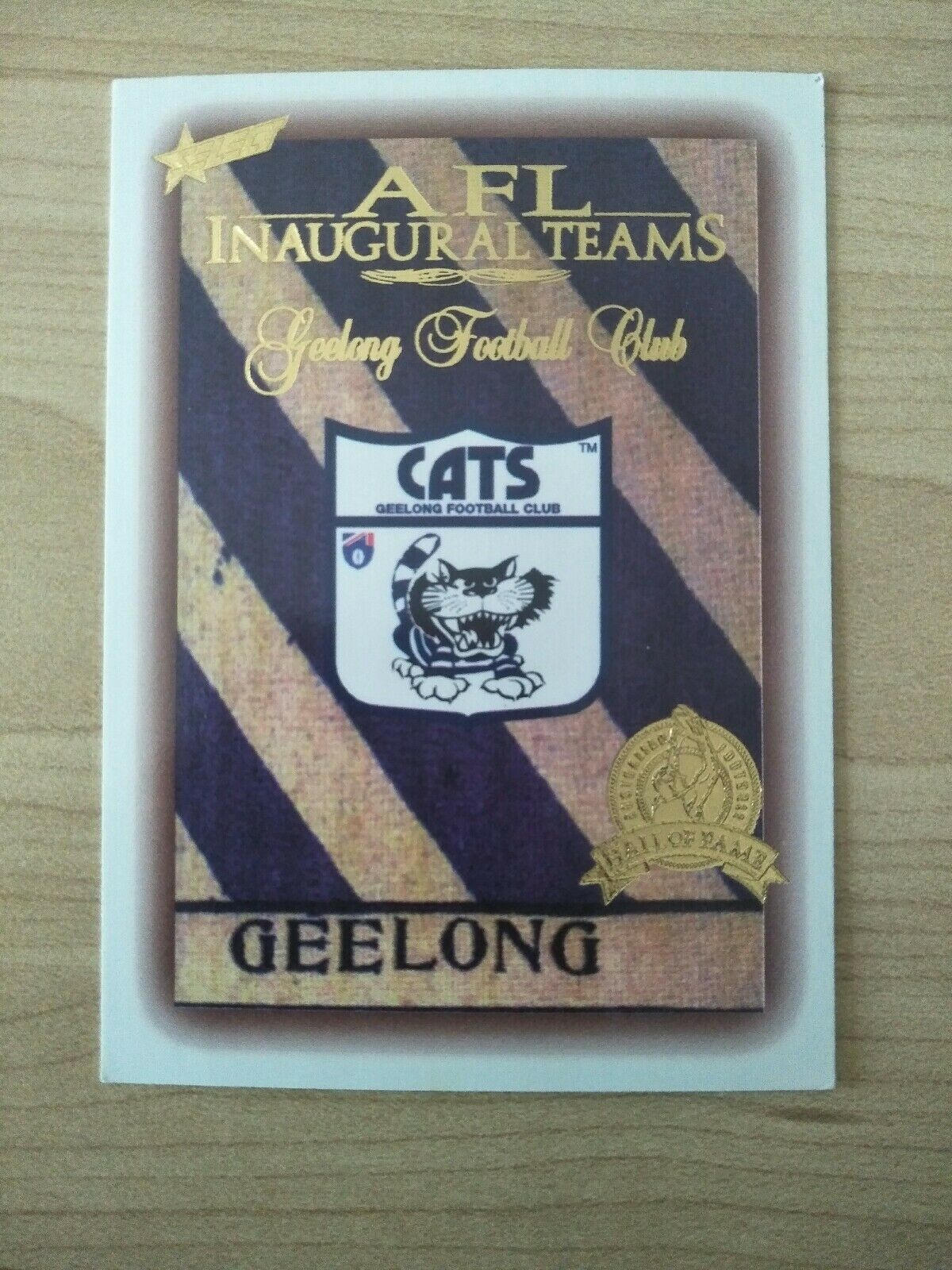 1996 Select Hall Of Fame Inaugural Teams Card Geelong Football Club