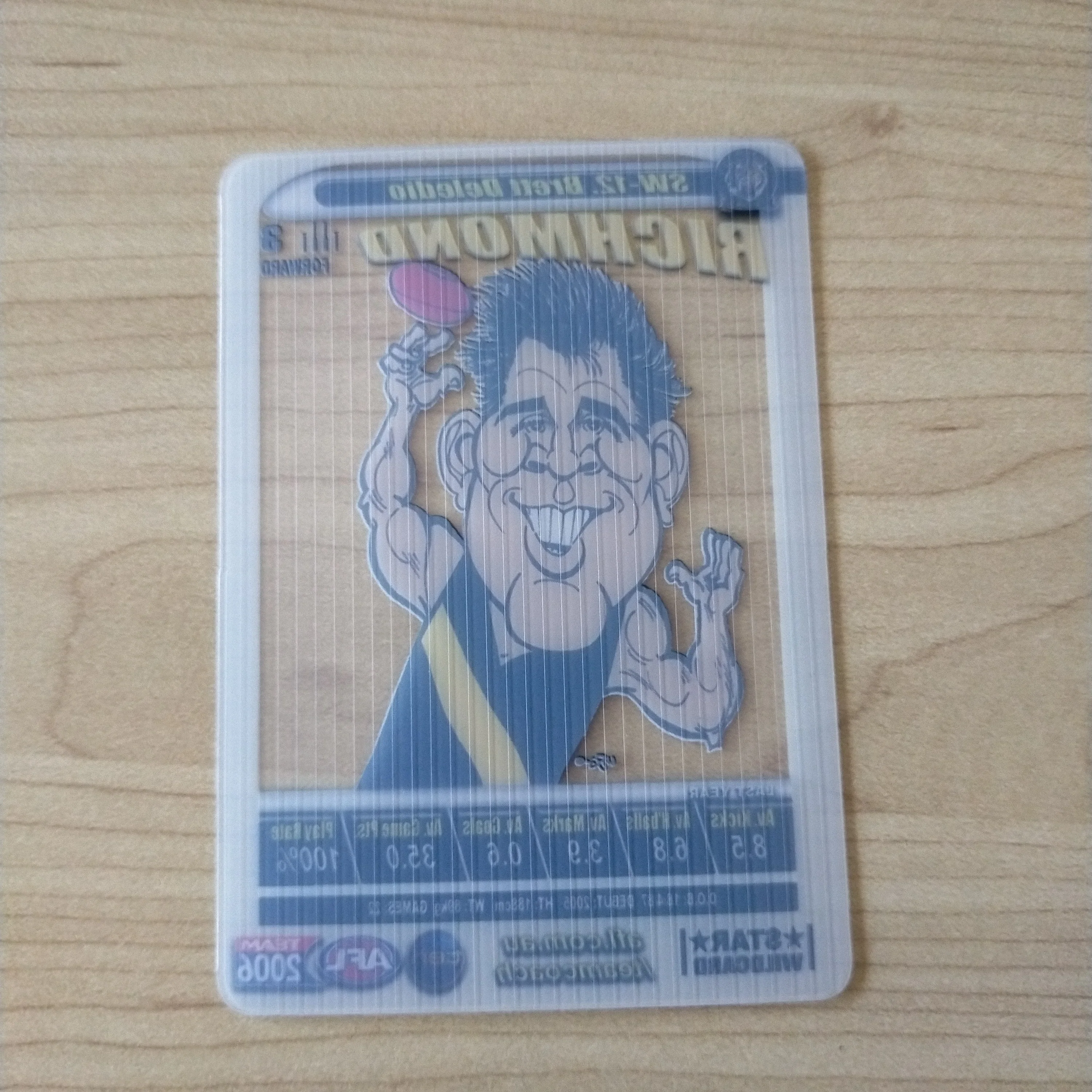 AFL 2006 Teamcoach Star Wildcard Brett Deledio Richmond Football Club SW-12 - Image 2
