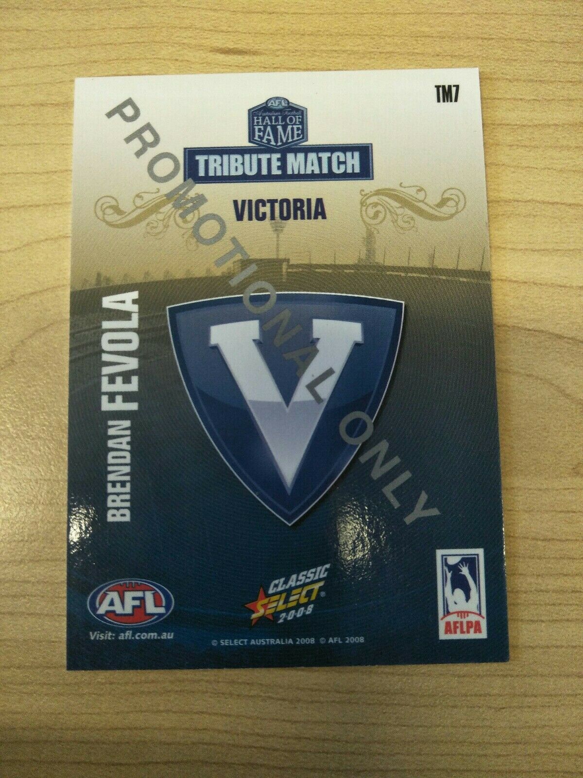 2008 Select AFL Hall Of Fame Promotional Card Brendan Fevola Victoria - Image 2