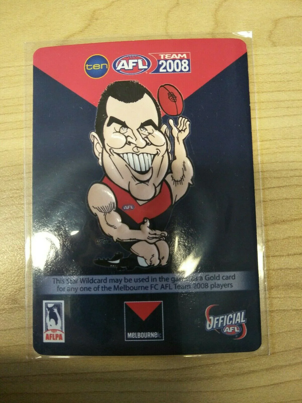 2008 Teamcoach Star Wildcard Cameron Bruce Melbourne SW-10 - Image 2