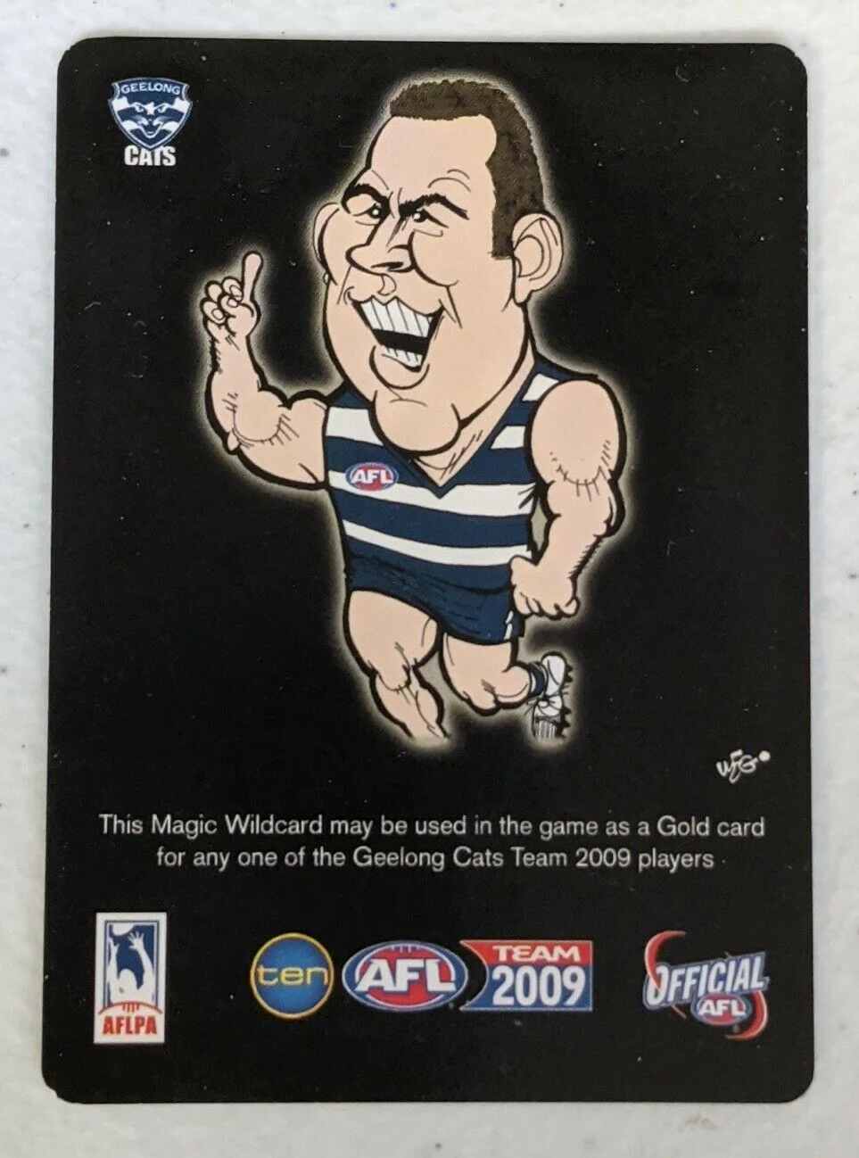 2009 AFL Teamcoach Premiership Trophy Wild Card PW01 Steve Johnson Geelong - Image 2