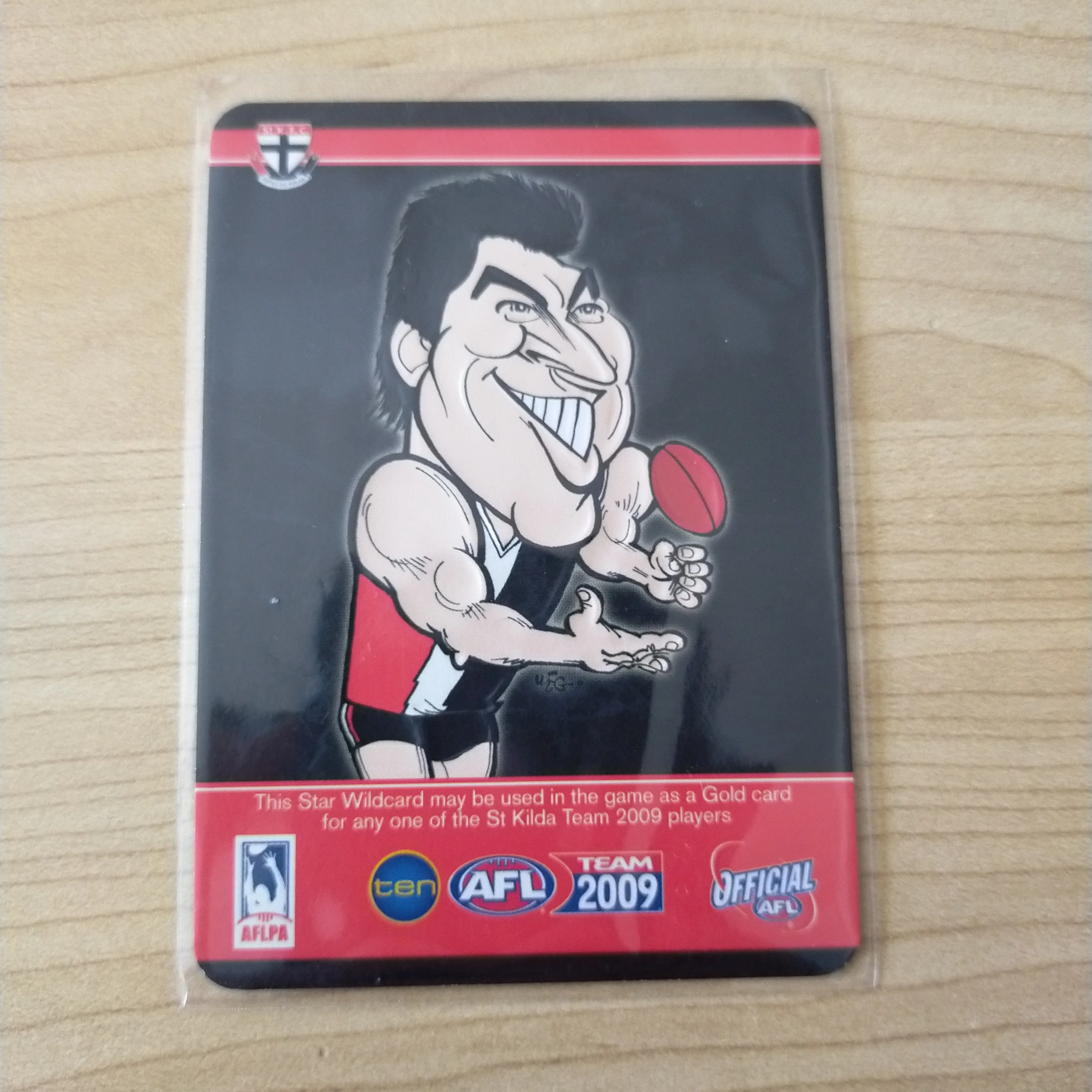 2009 Teamcoach Star Wildcard Lenny Hayes St Kilda SW-13 - Image 2