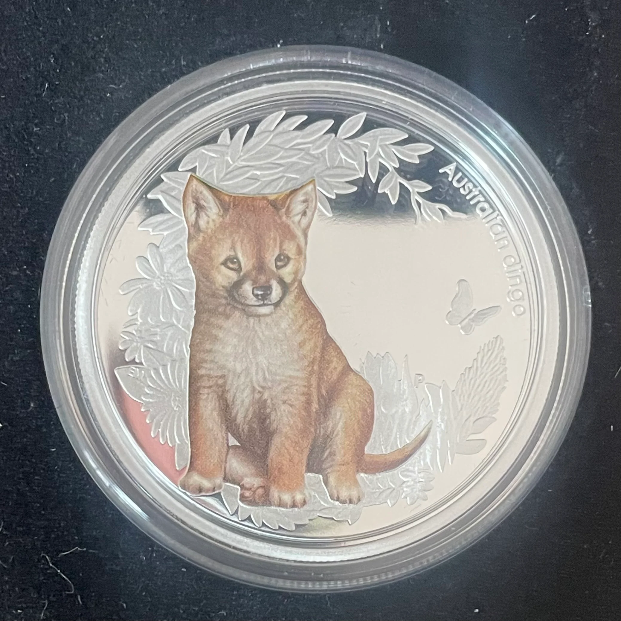 Australia 2010 Perth Mint Australian Bush Babies Dingo 1/2oz Silver Coin - Image 2