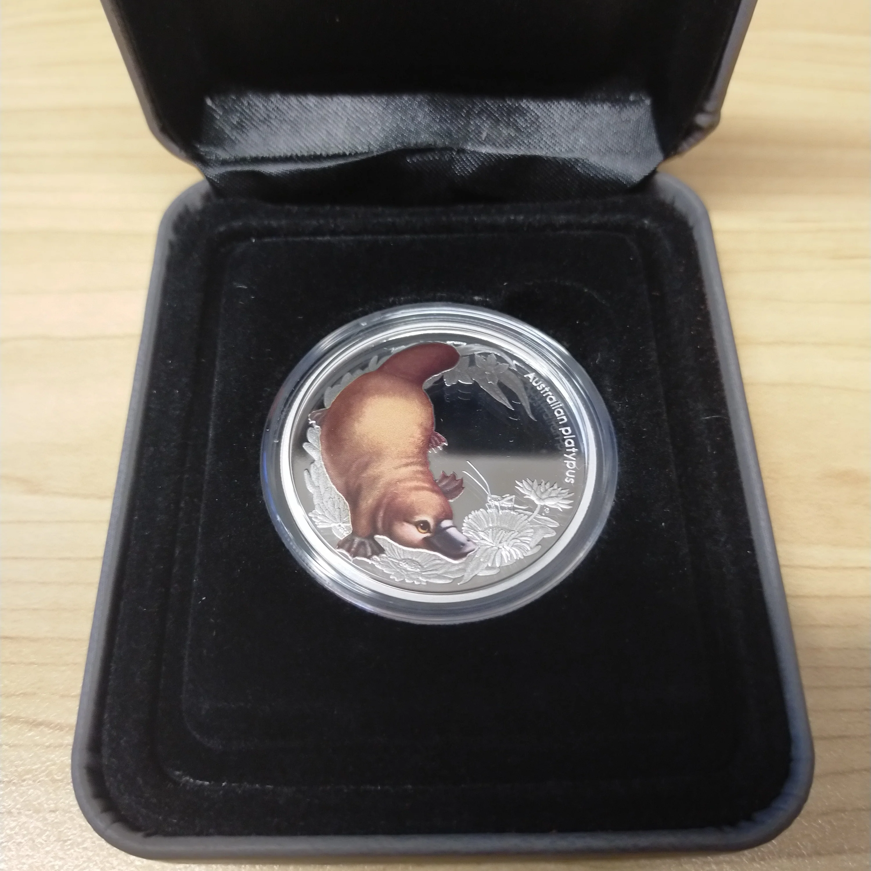Australia 2012 Perth Mint Australian Bush Babies Series 2 Set of 5 1/2oz Silver Coins - Image 5
