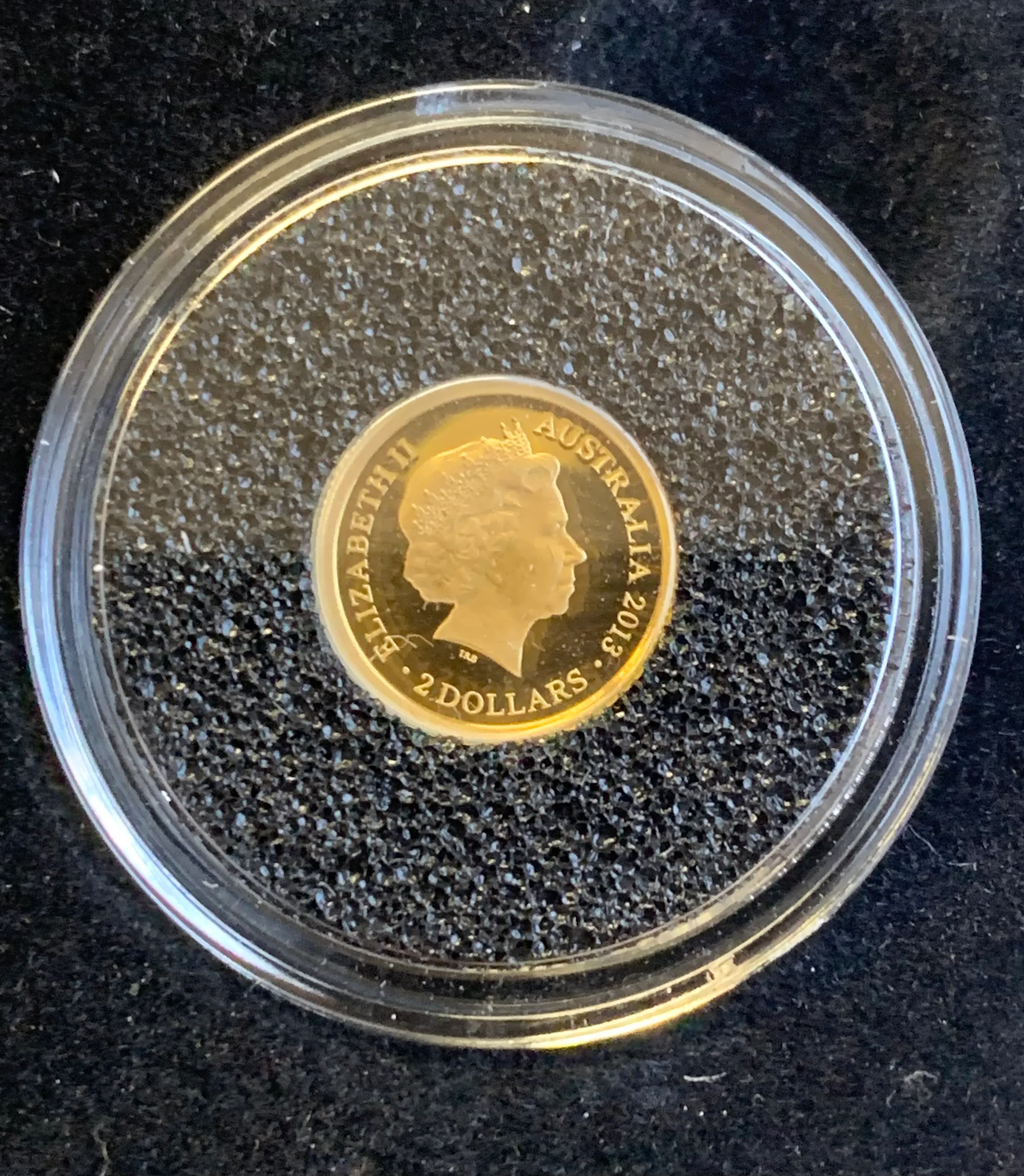 2013 $2 Australian Frilled Neck Lizard  .5 gram  .9999 Gold Coin - Image 2