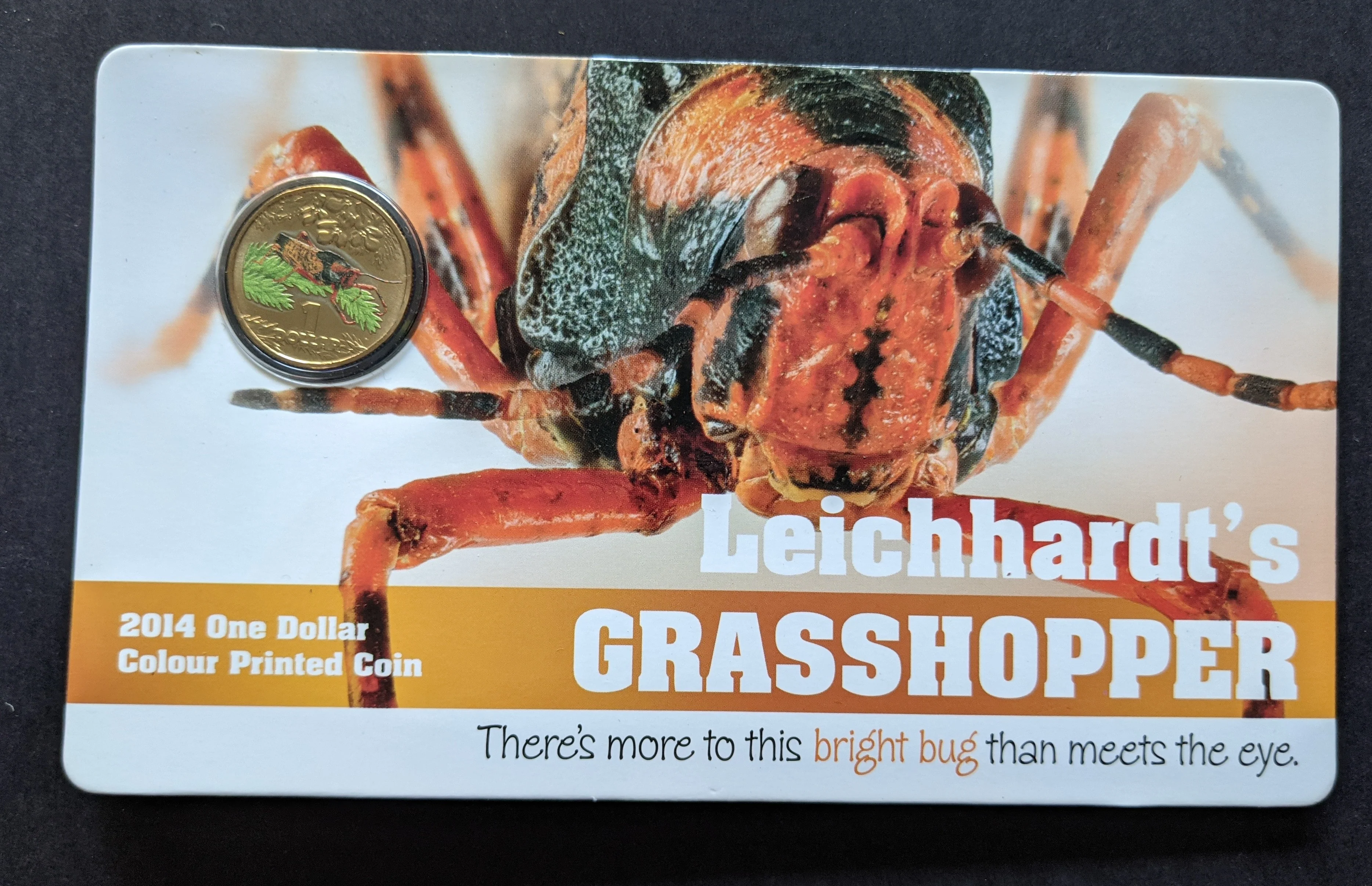 Australia 2014 Royal Australian Mint $1 Coloured Bugs Coin Set of 5 Ex. Blowfly - Image 4