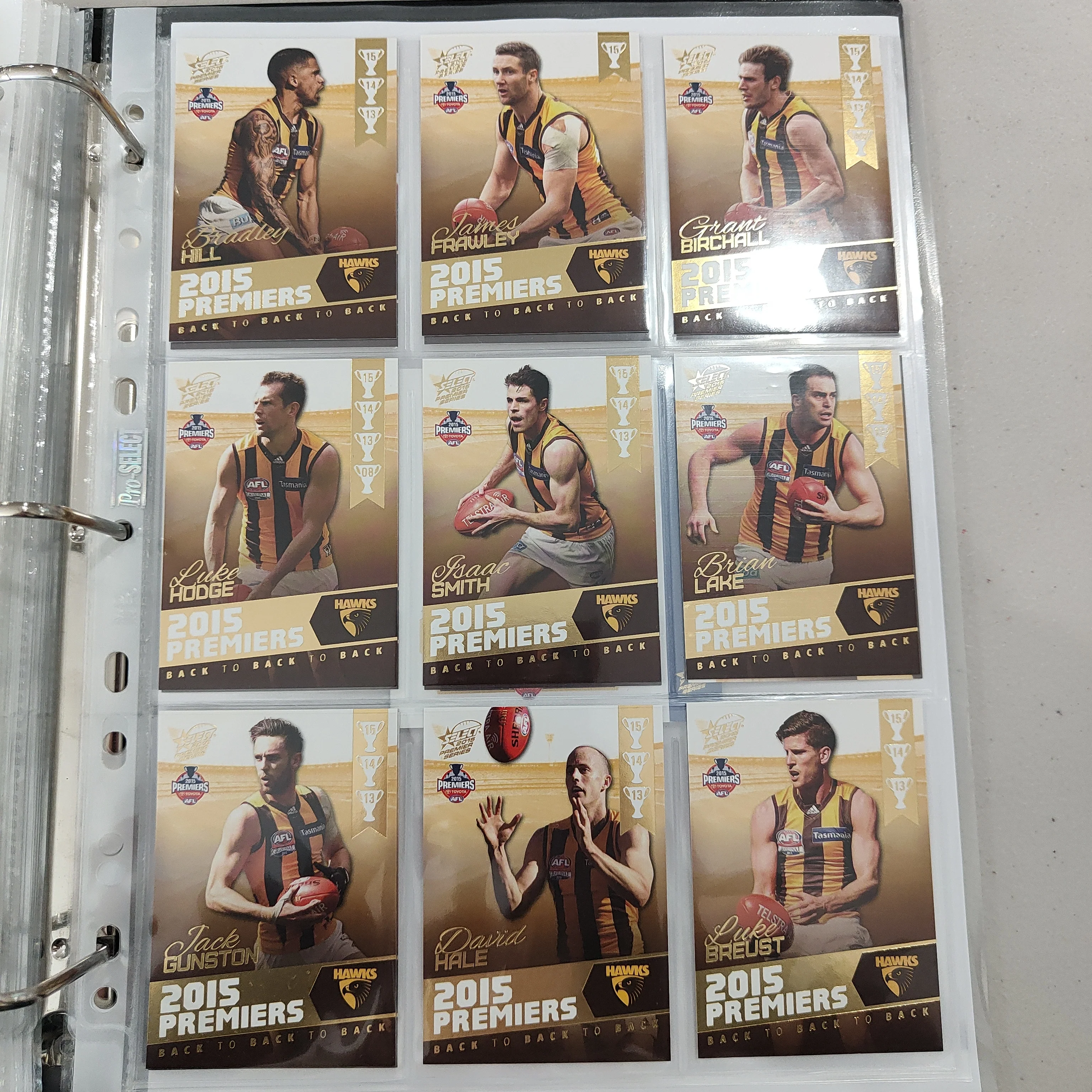 2015 Select Hawthorn Football Club Premiership Boxed Football Card Set - Image 2