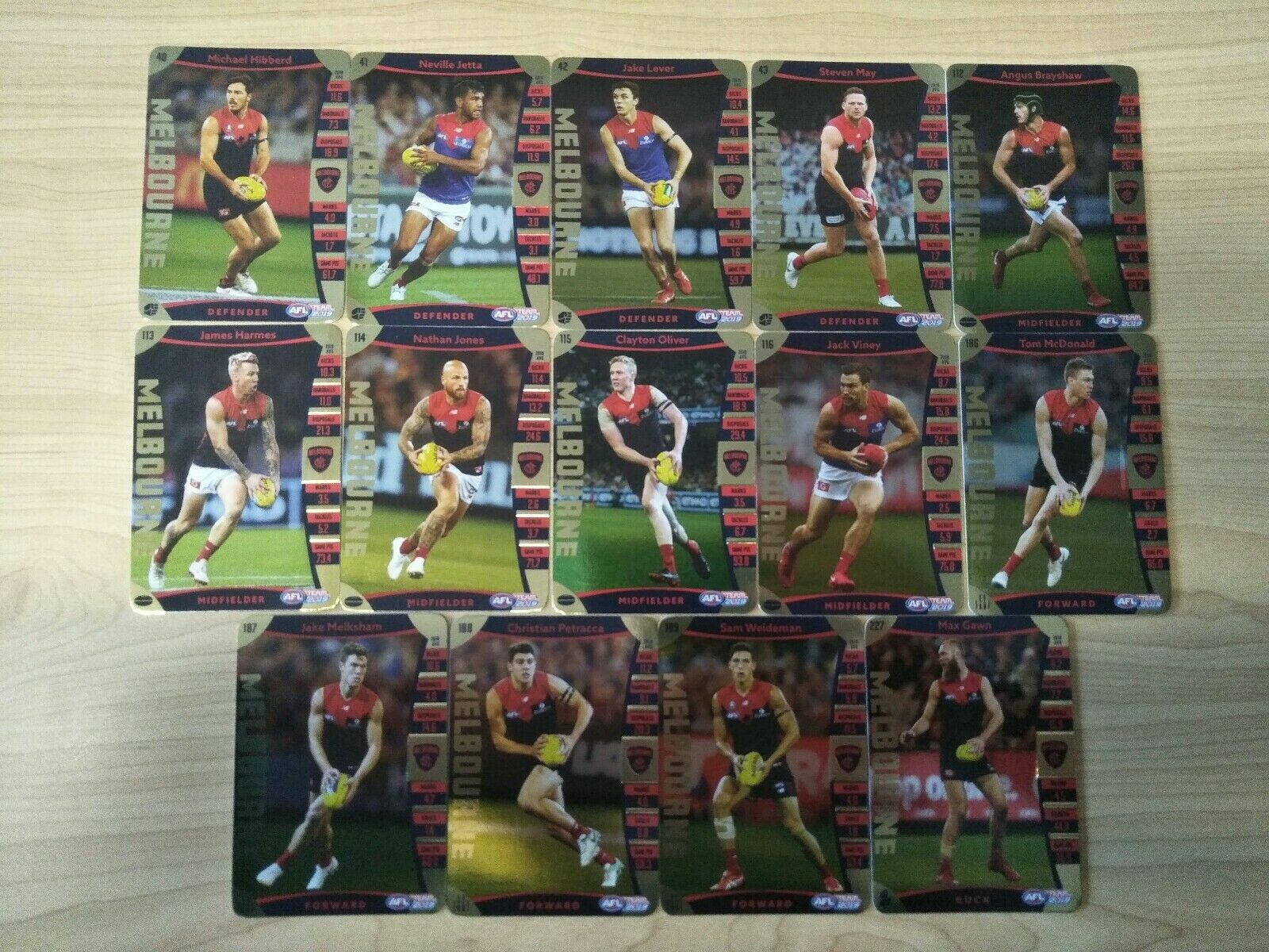 2019 Teamcoach Gold Melbourne Team Set Of 14 Cards - Image 2