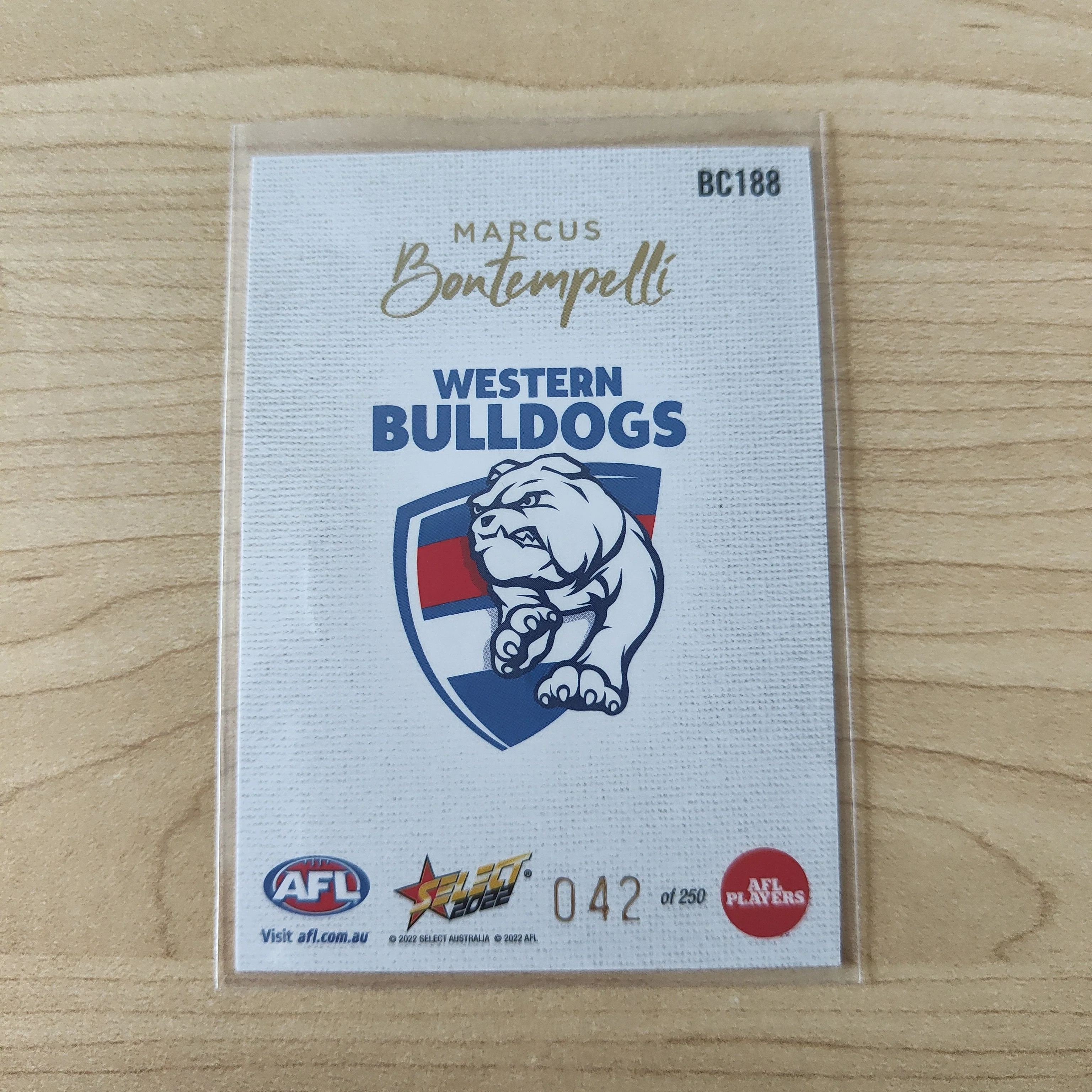 2022 AFL Footy Stars Blank Canvas Marcus Bontempelli Western Bulldogs 042/250 - Image 2