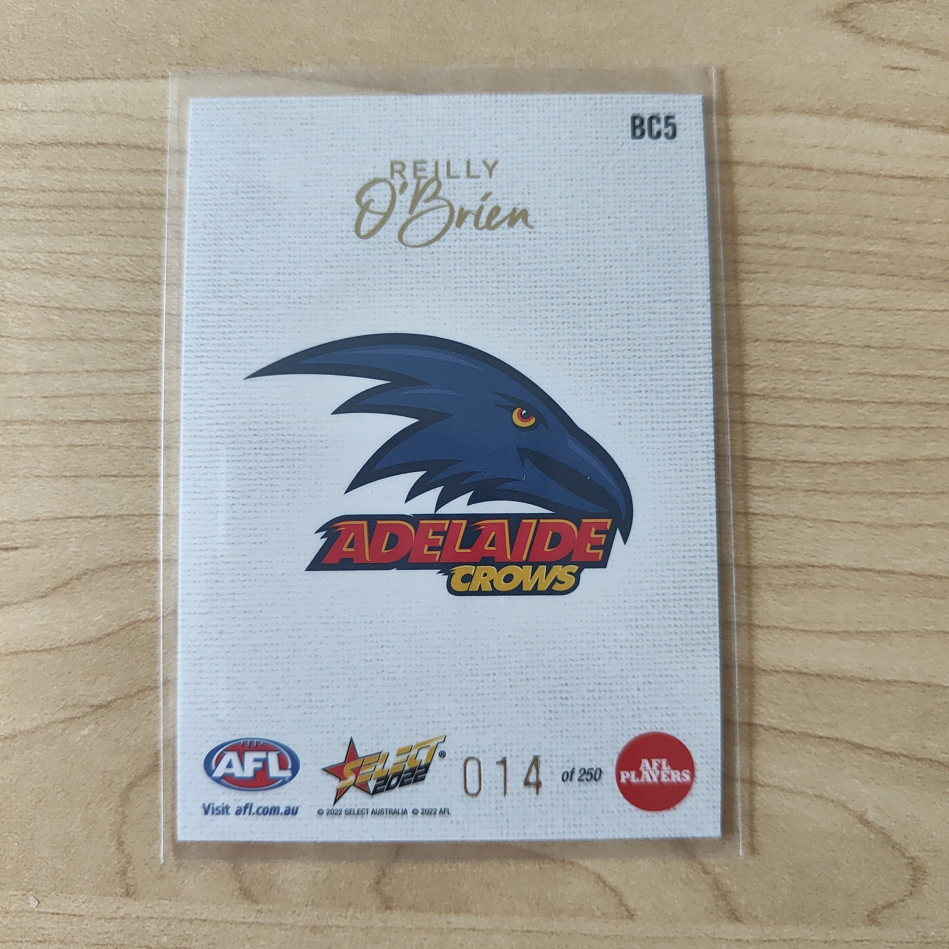 2022 AFL Footy Stars Blank Canvas Reilly O'Brien Adelaide 014/250 - Image 2