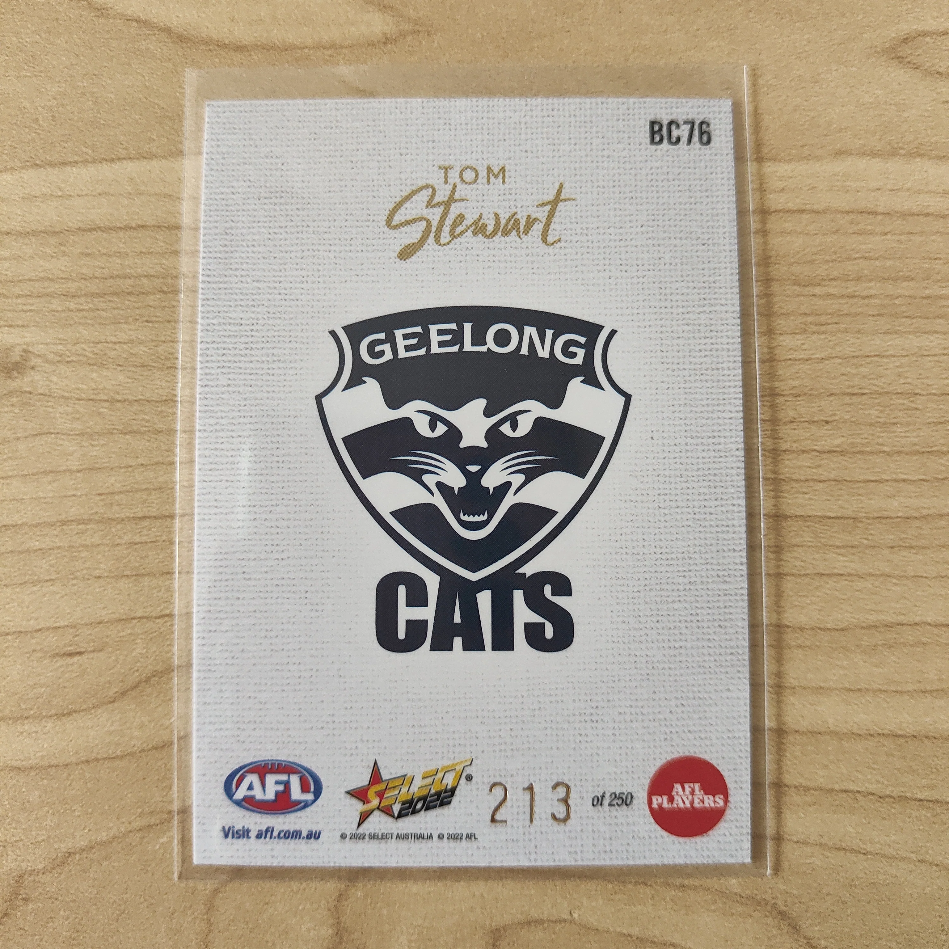 2022 AFL Footy Stars Blank Canvas Tom Stewart Geelong 213/250 - Image 2