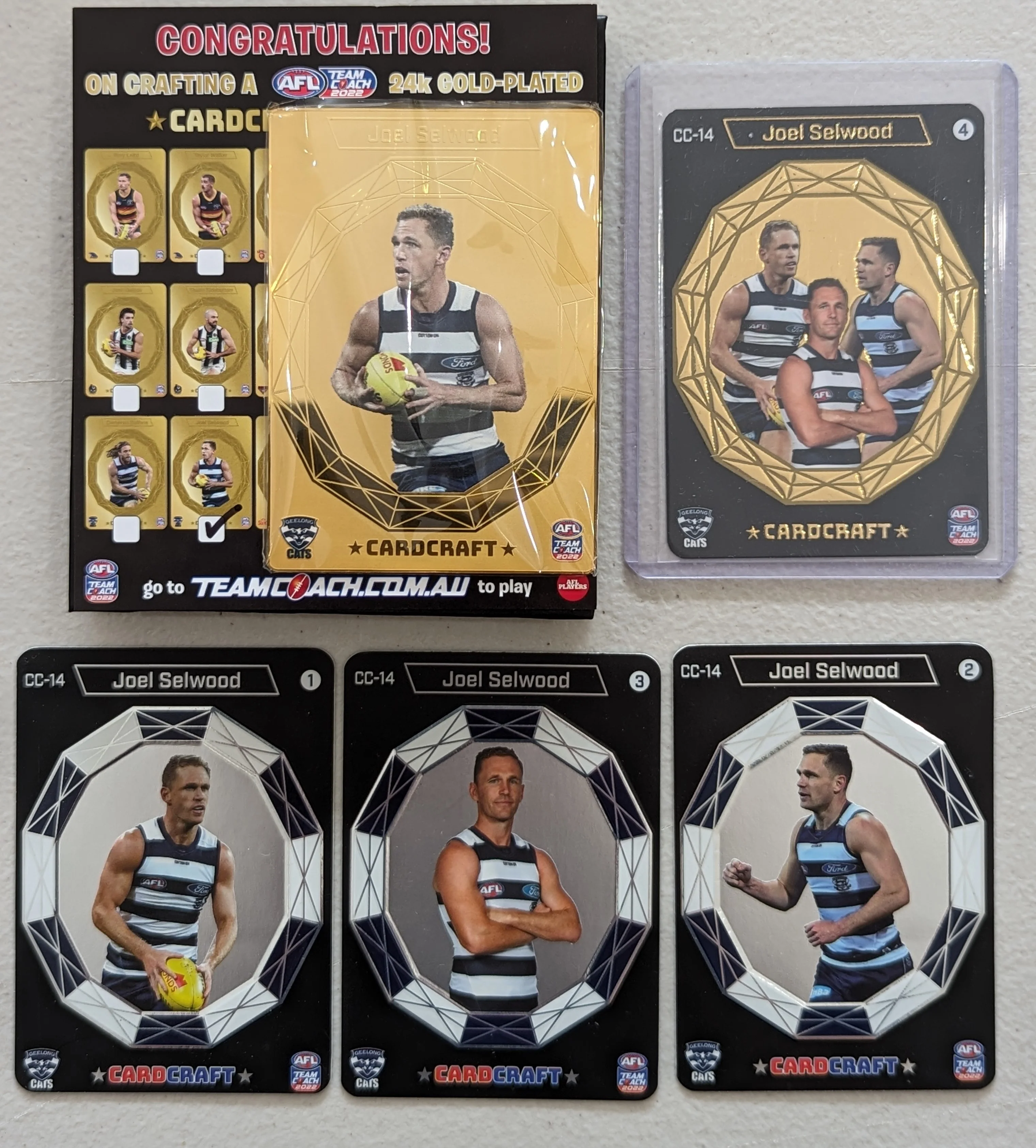 2022 AFL Teamcoach Gold Cardcraft Set Joel Selwood Geelong - Image 2
