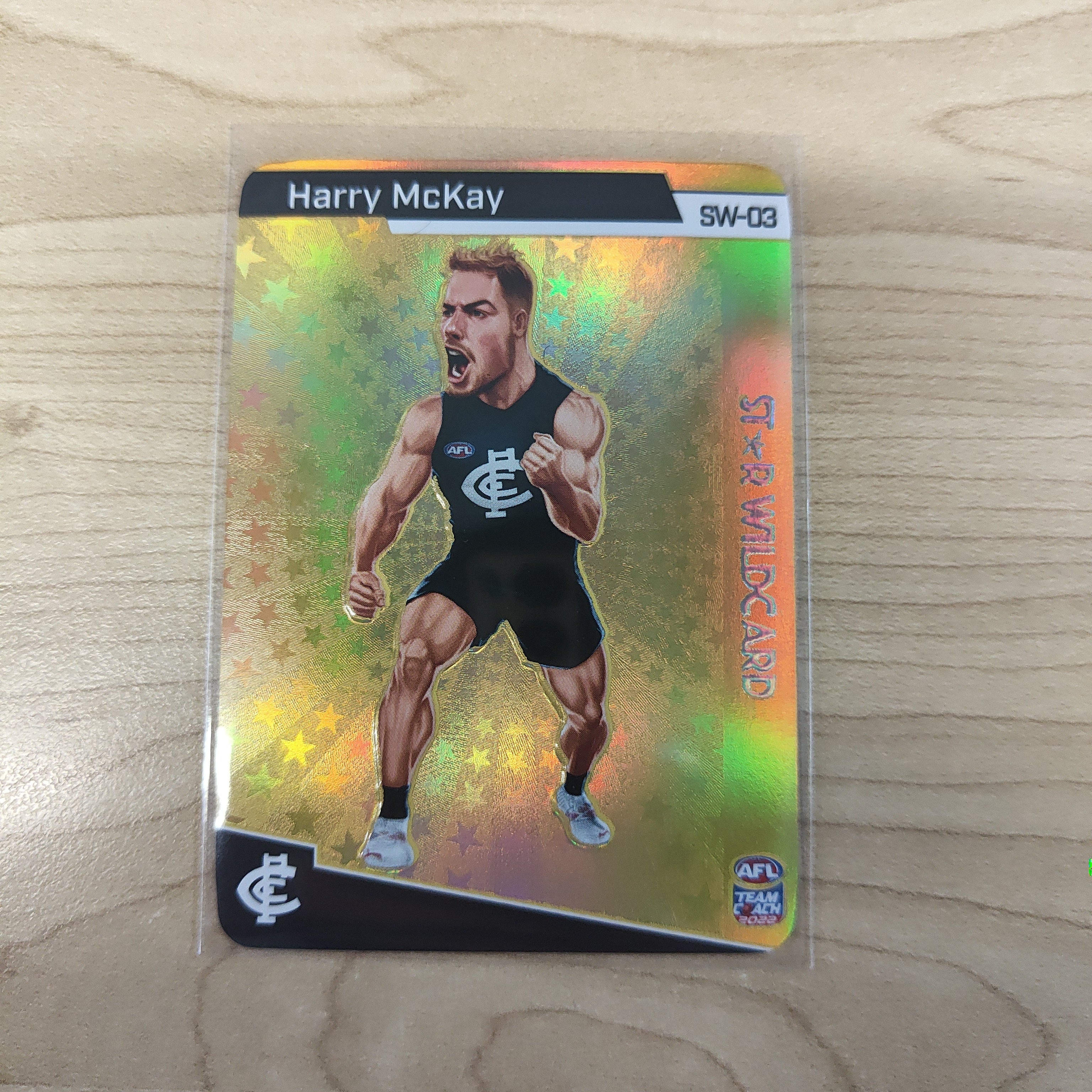 2022 Teamcoach Gold Star Wildcard Harry McKay Carlton SW-03