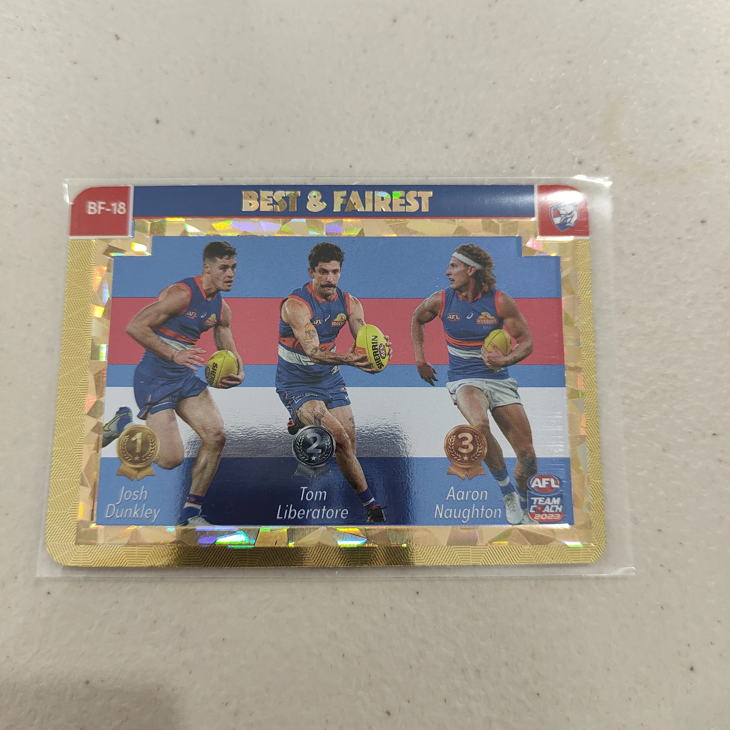 2023 Teamcoach Gold Best & Fairest Western Bulldogs BF-18