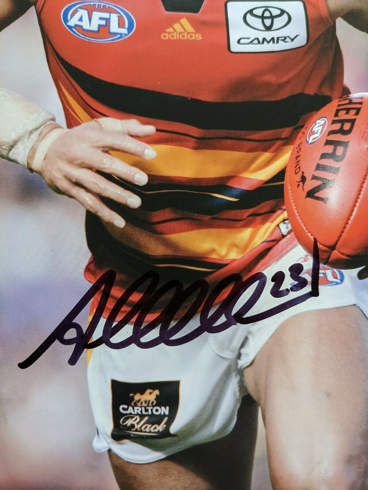 AFL Hand Signed Picture Andrew McLeod Adelaide - Image 2