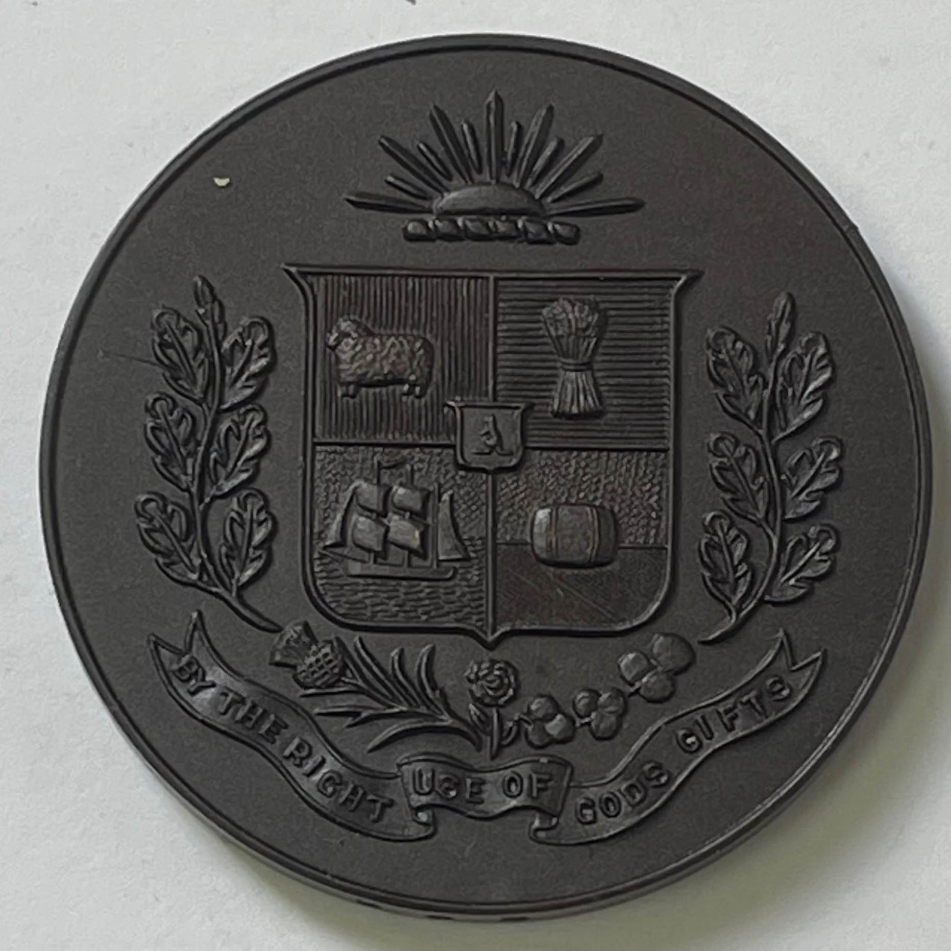Australia 1966 Issue of Decimal Currency  Geelong Numismatic Society Medallion - Image 2