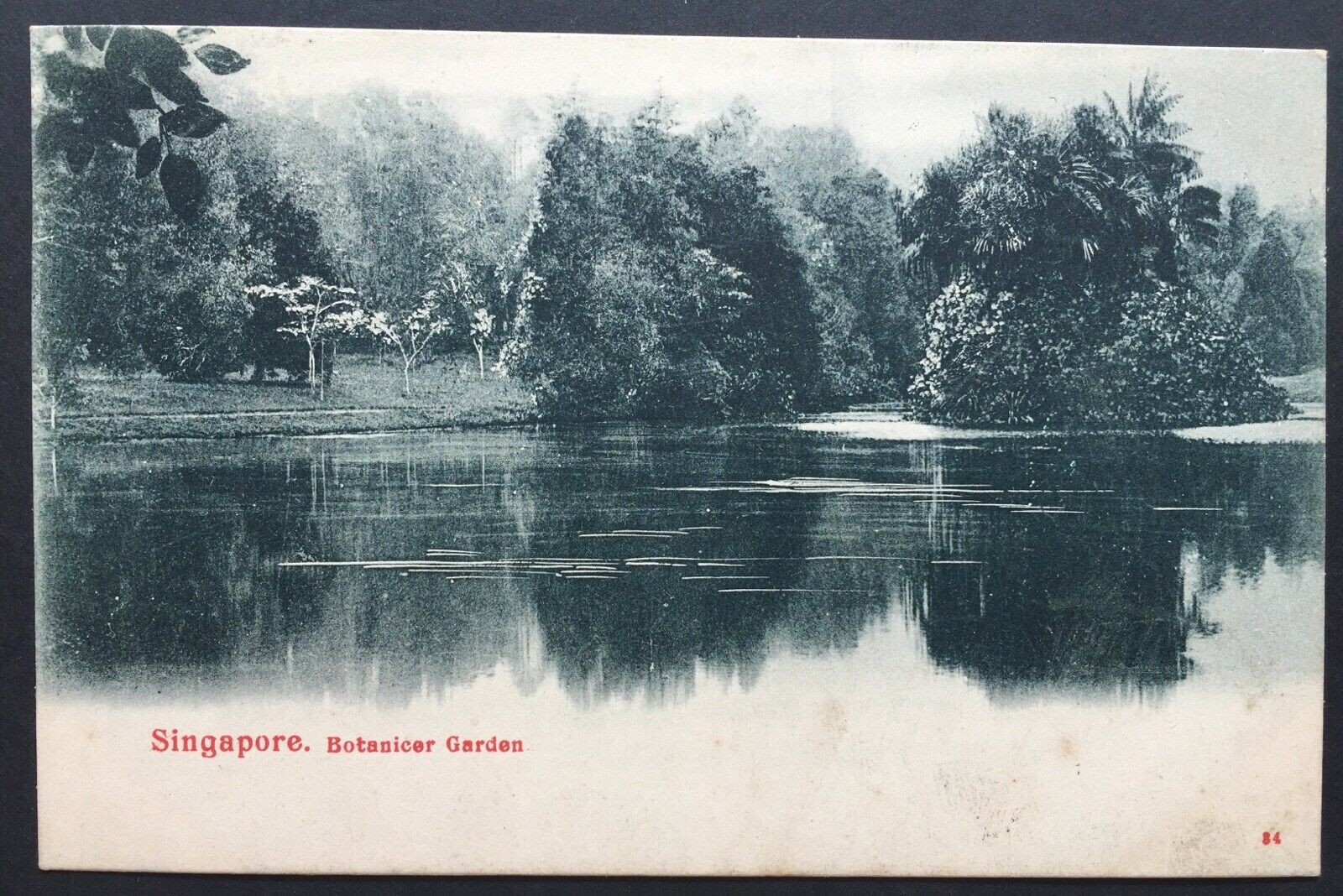 China- Incoming Mail. 1904 Singapore PPC To Shanghai - Image 2