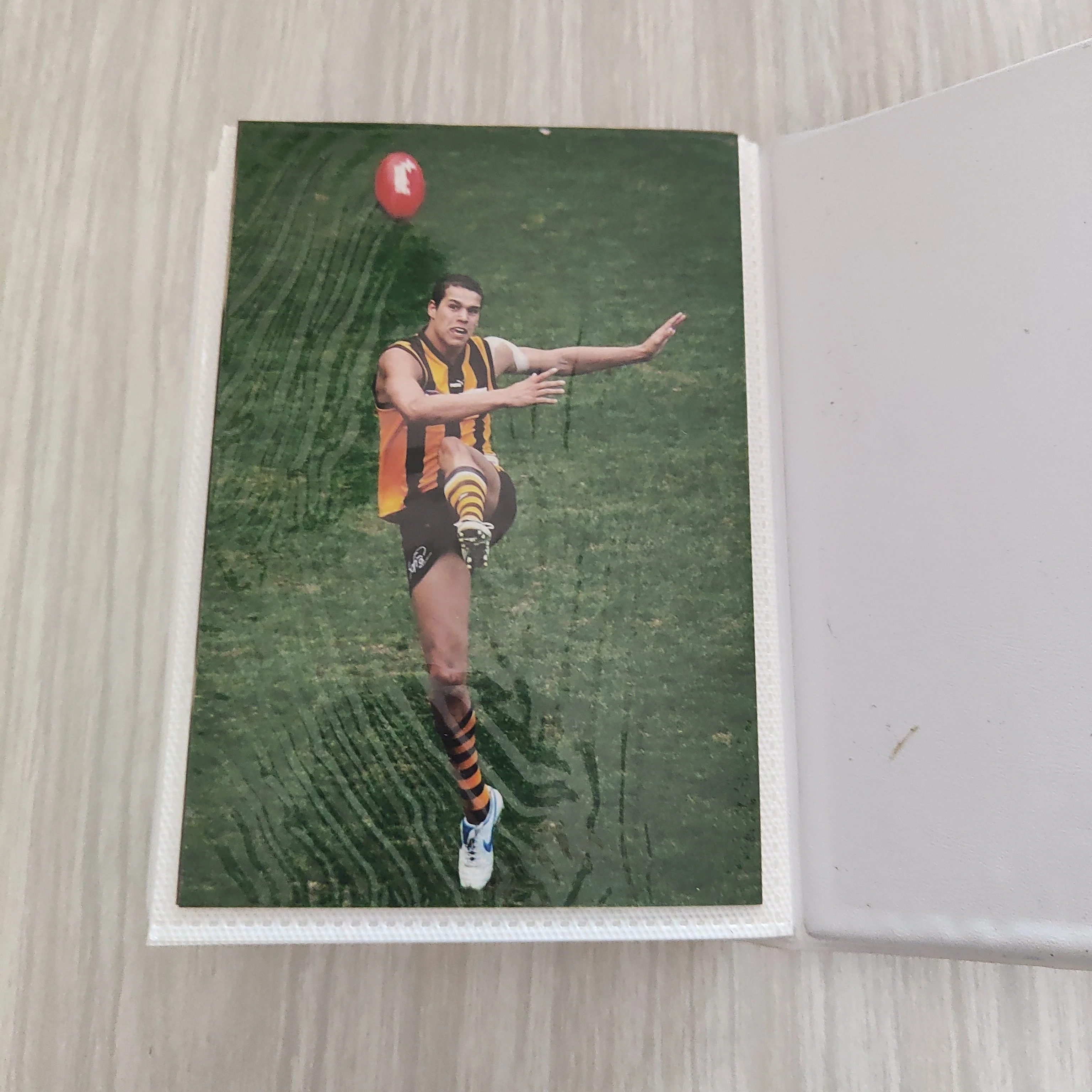 Collection of Hawthorn Football Club Autographed Photos - Image 10