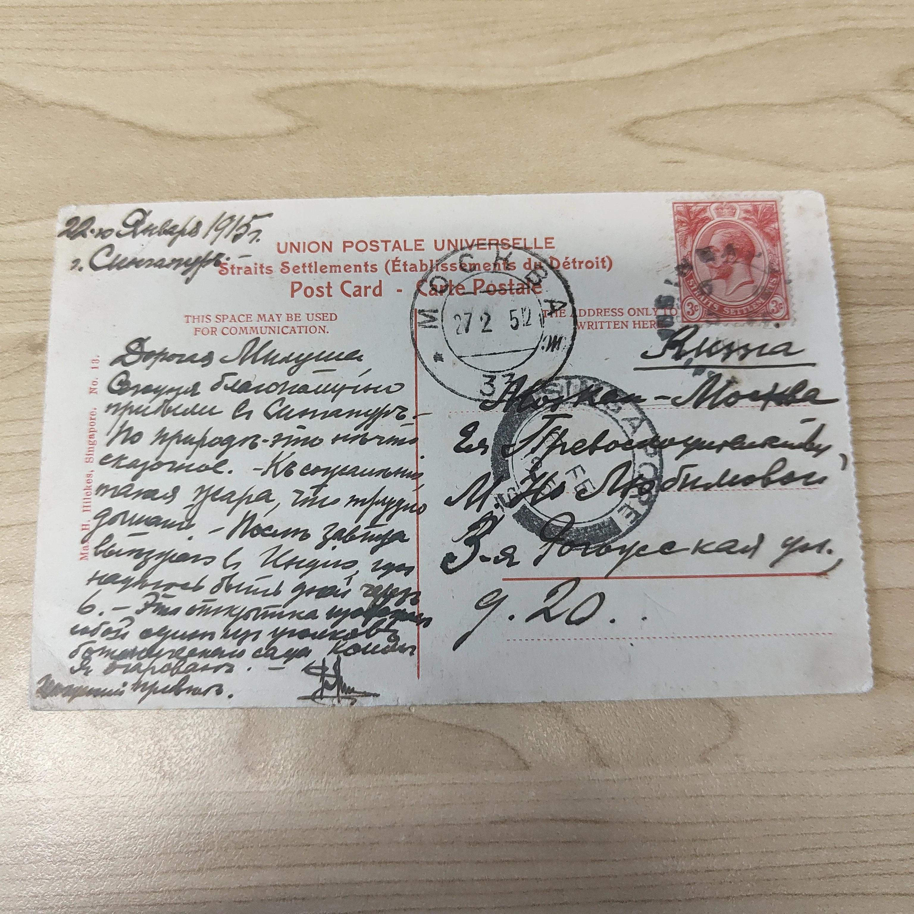 Malaya Strait Settlements Singapore Botanical Garden George V 3c 1915 Postcard - Image 2