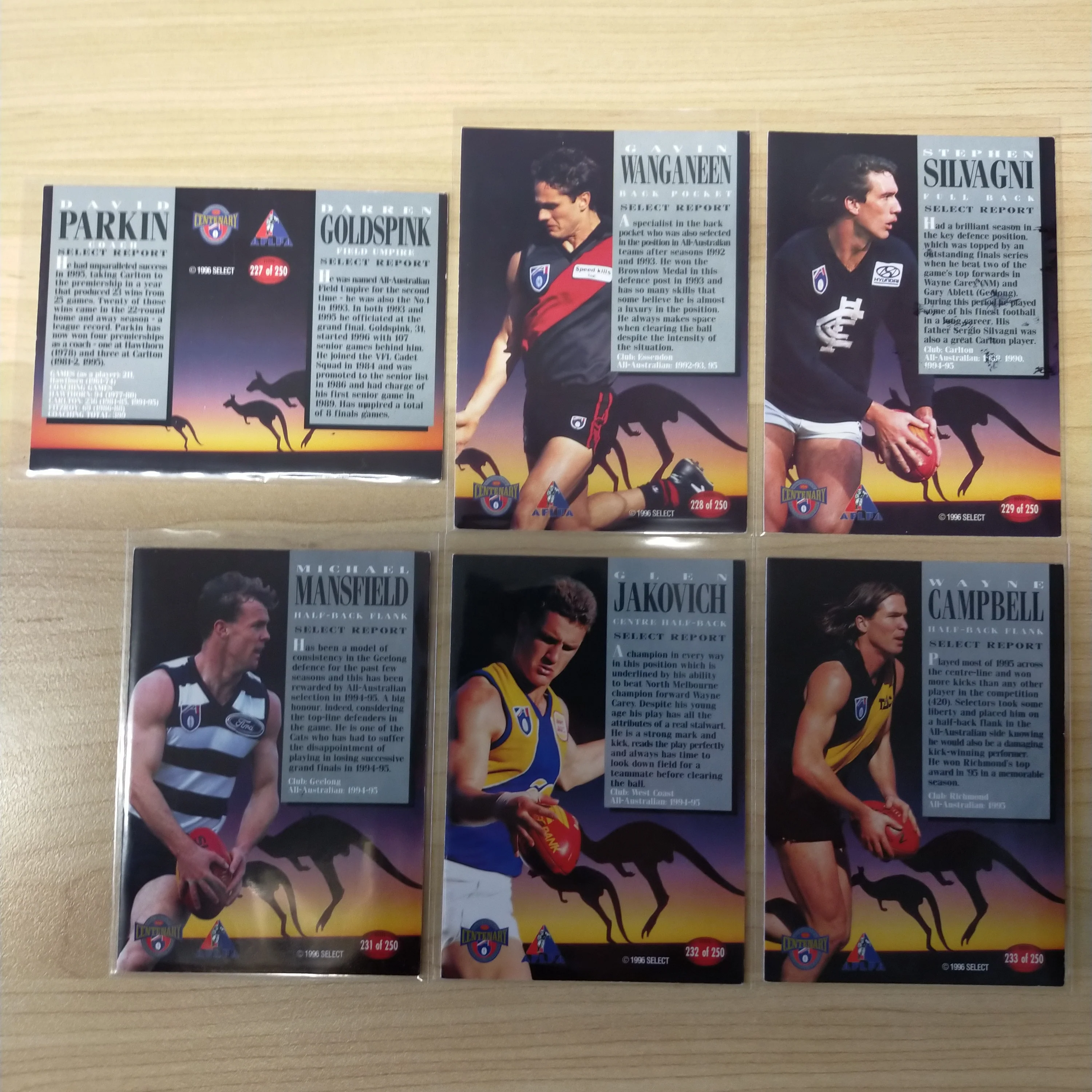 Lot of 18 x 1996 Select AFL Centenary AFLPA All Australian Hand Signed Cards - Image 4