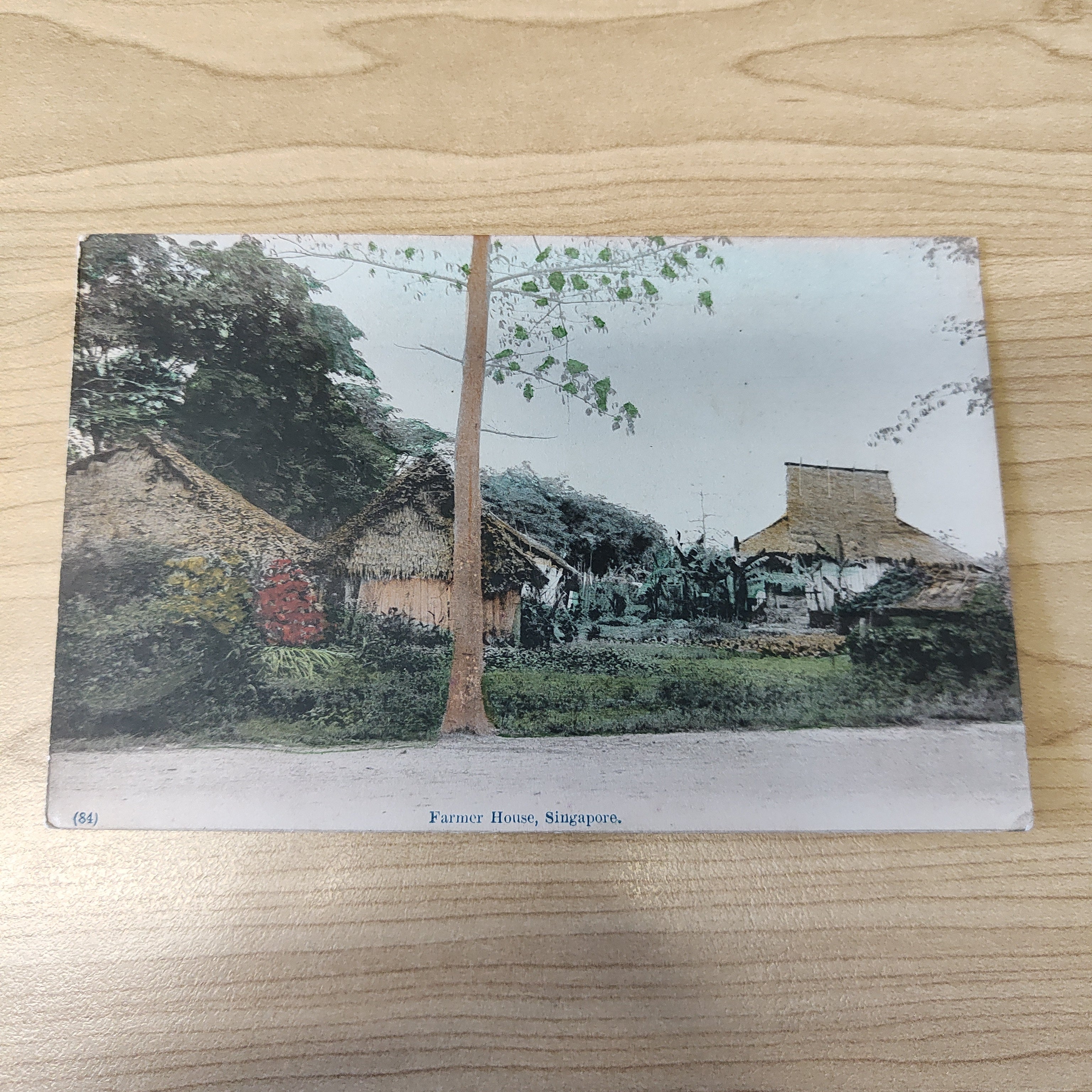 Malaya Strait Settlements Singapore Farmer House Postcard