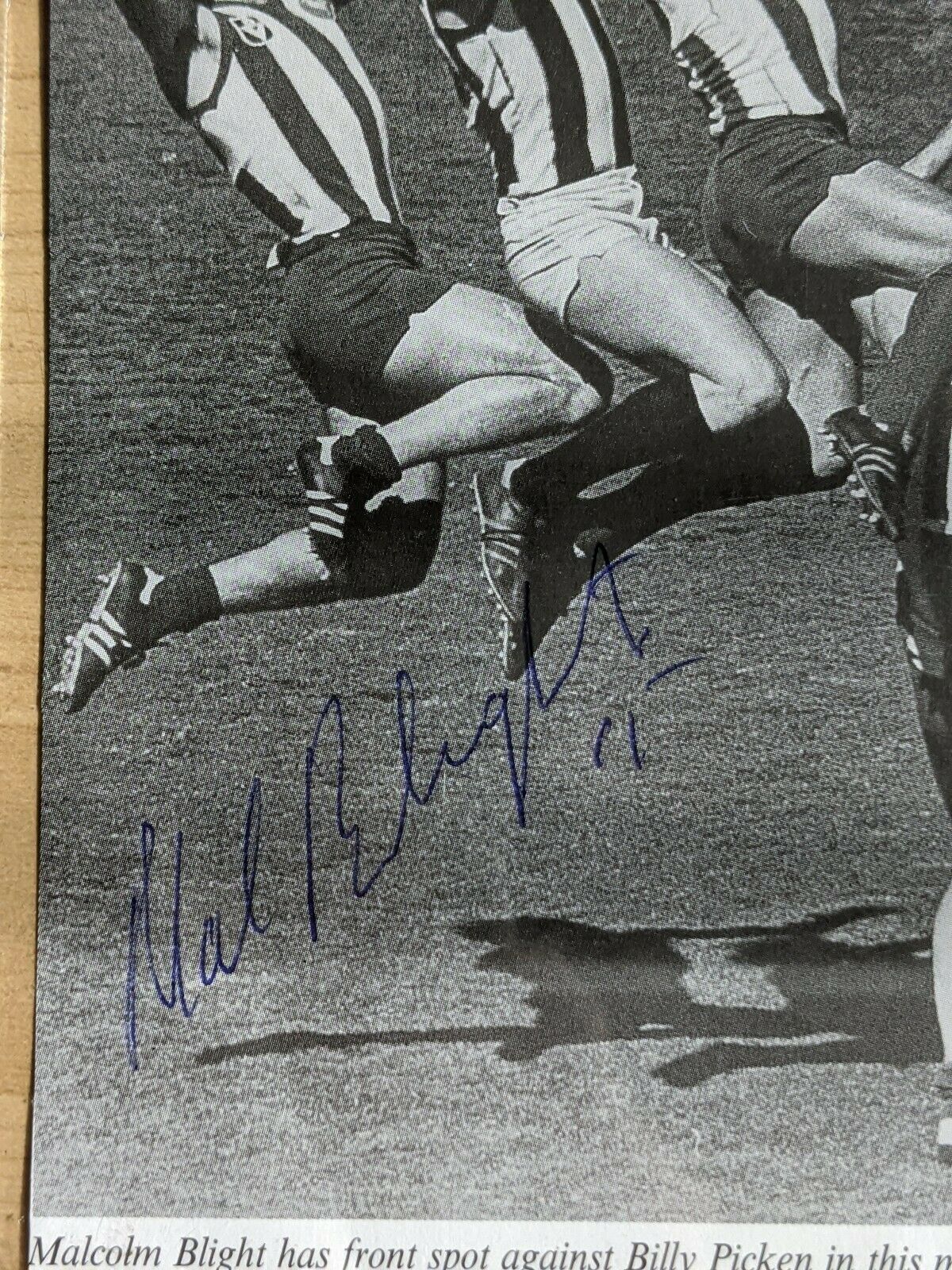 Malcolm Blight North Melbourne Kangaroos Hand Signed Picture - Image 2