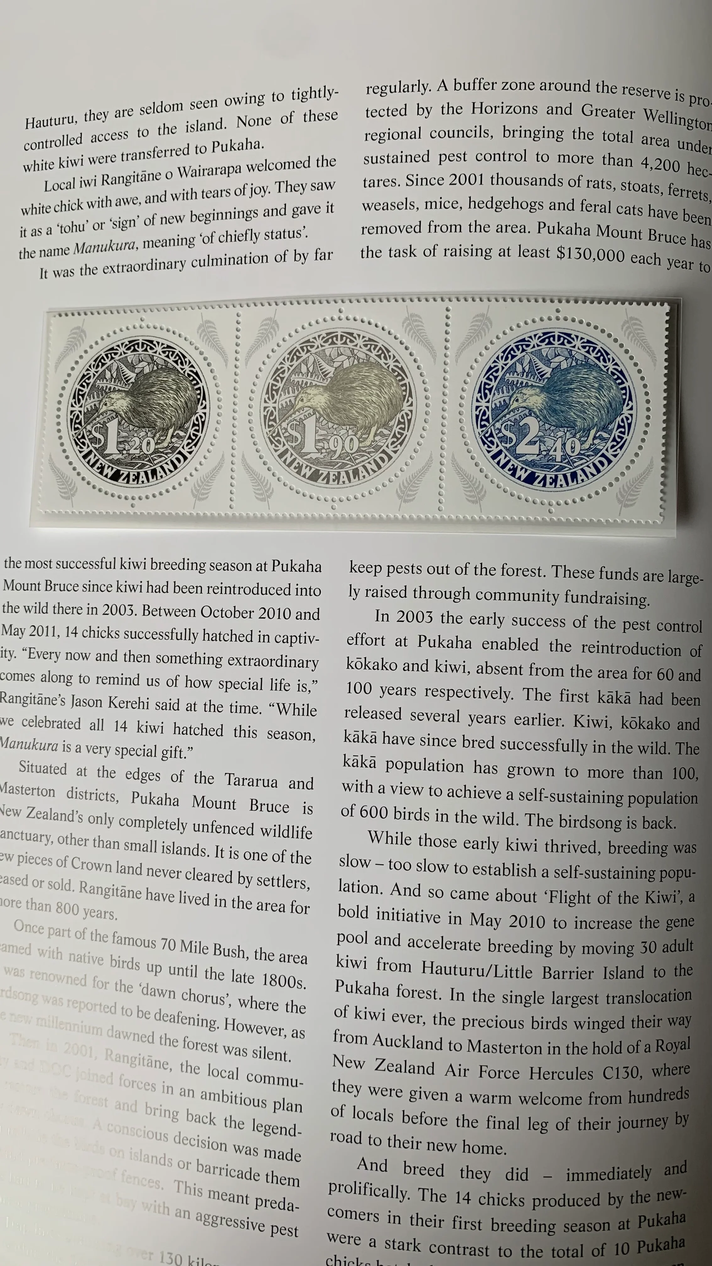 New Zealand 2011 Post Office Year Book containing all the different simplified stamps issued that year - Image 11