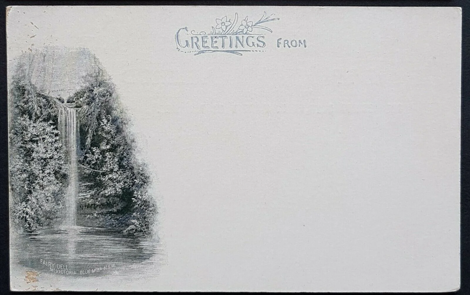 NSW 1d Arms Post Card Greetings from Fairy Dell Mount Victoria HG 19 a CTO