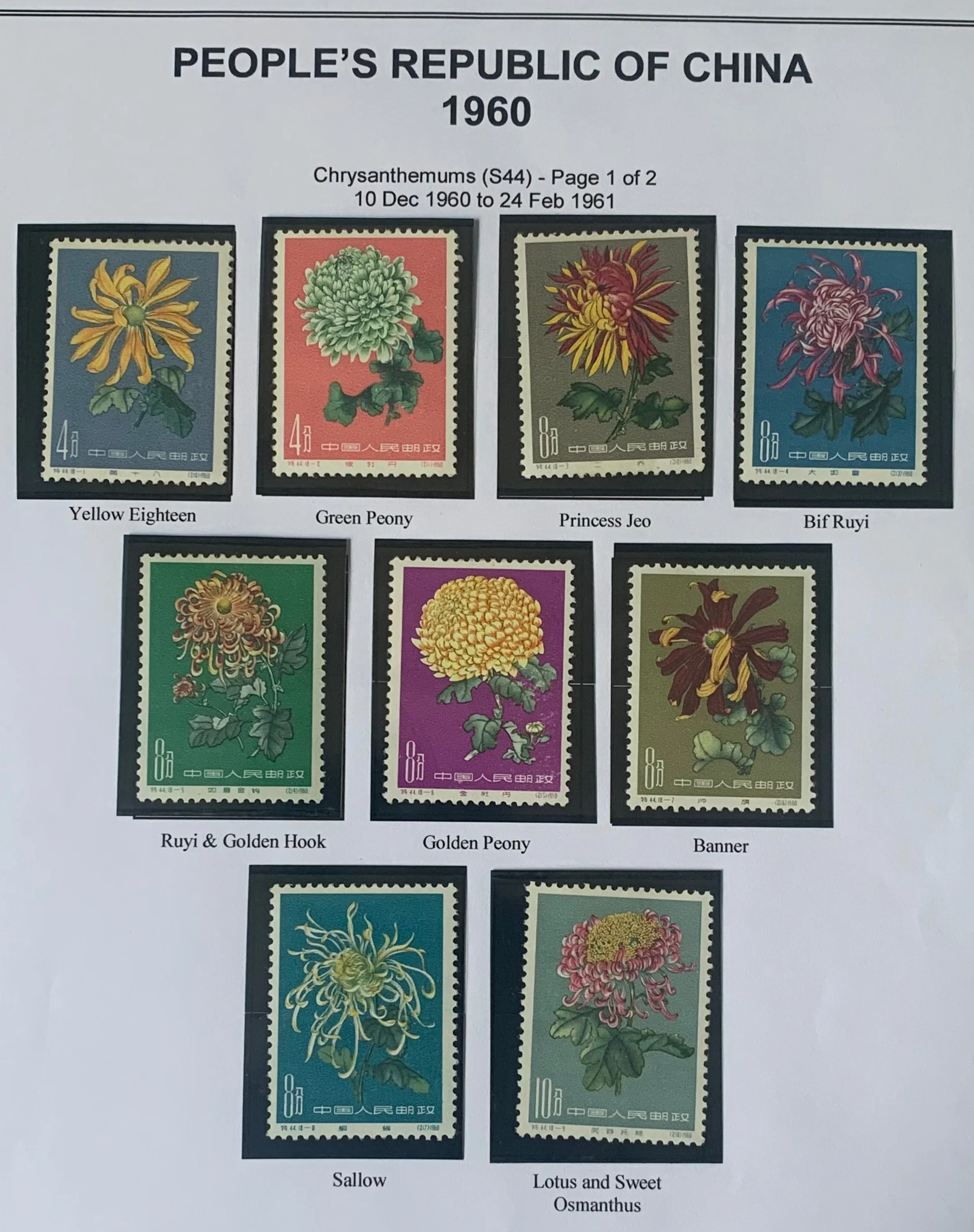PRC China 1960 Chrysanthemums S44 Set mounted Mint - Image 2