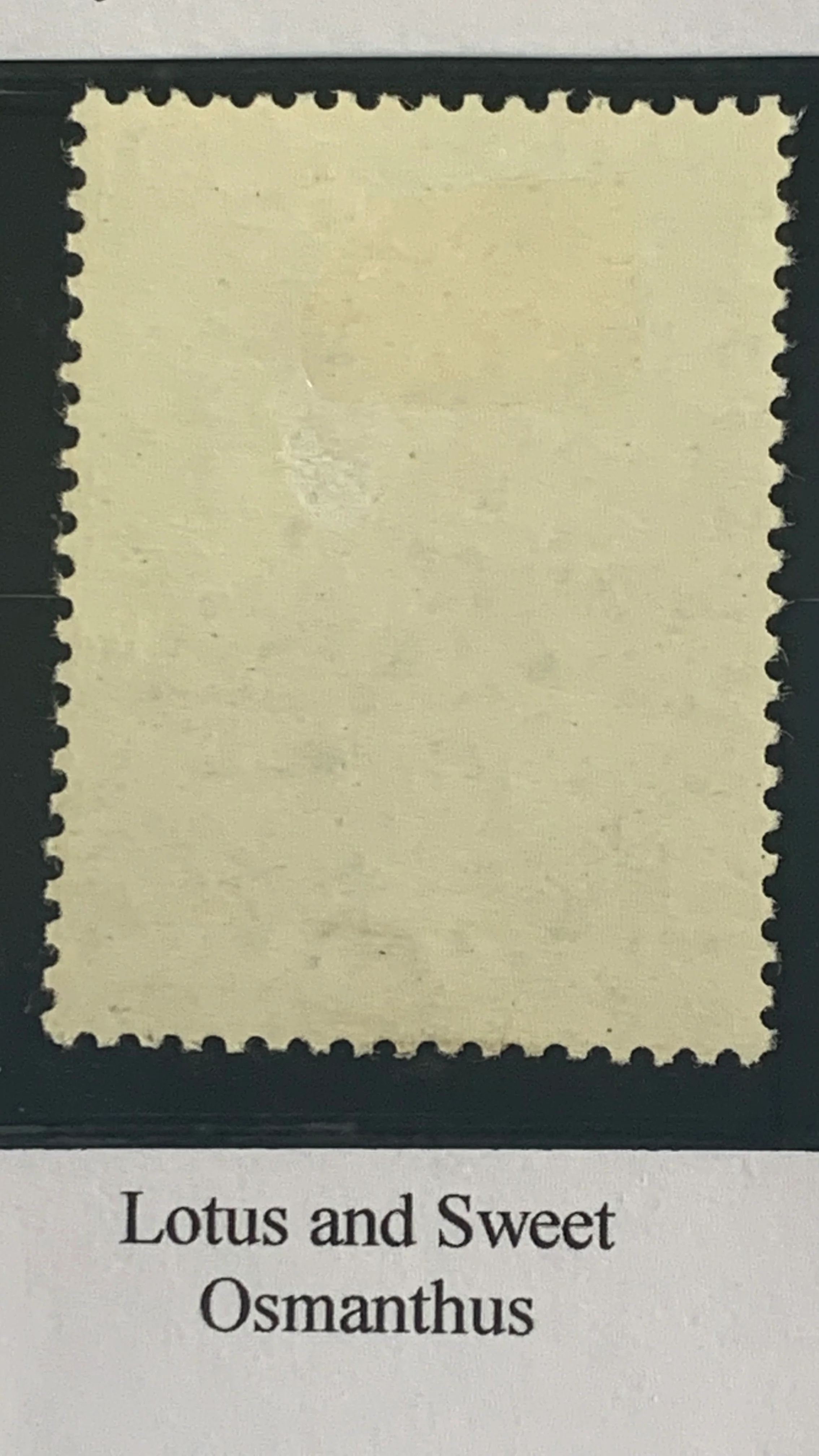 PRC China 1960 Chrysanthemums S44 Set mounted Mint - Image 5