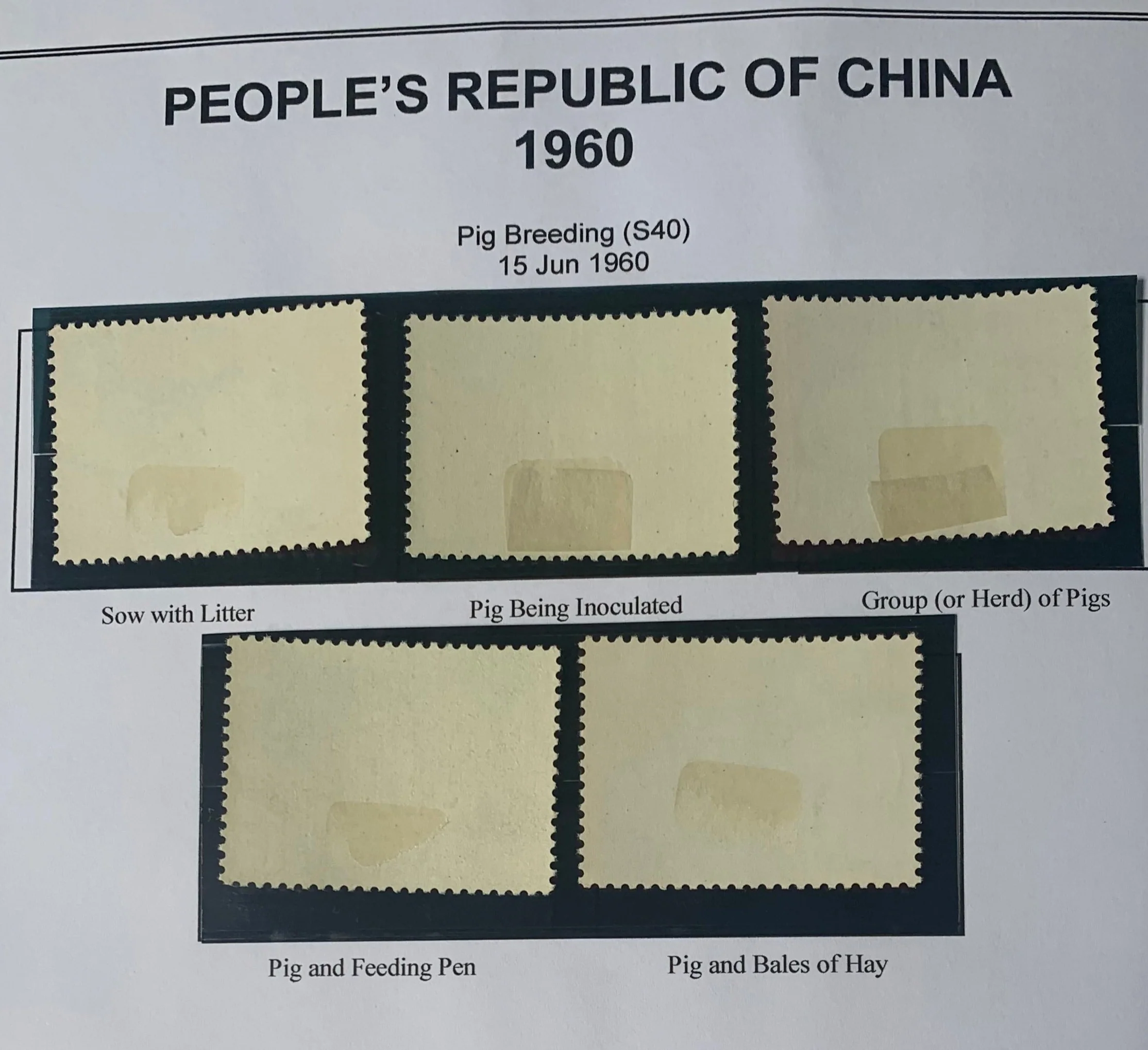 PRC China 1960 Pig Breading  S40 Set mounted Mint - Image 2