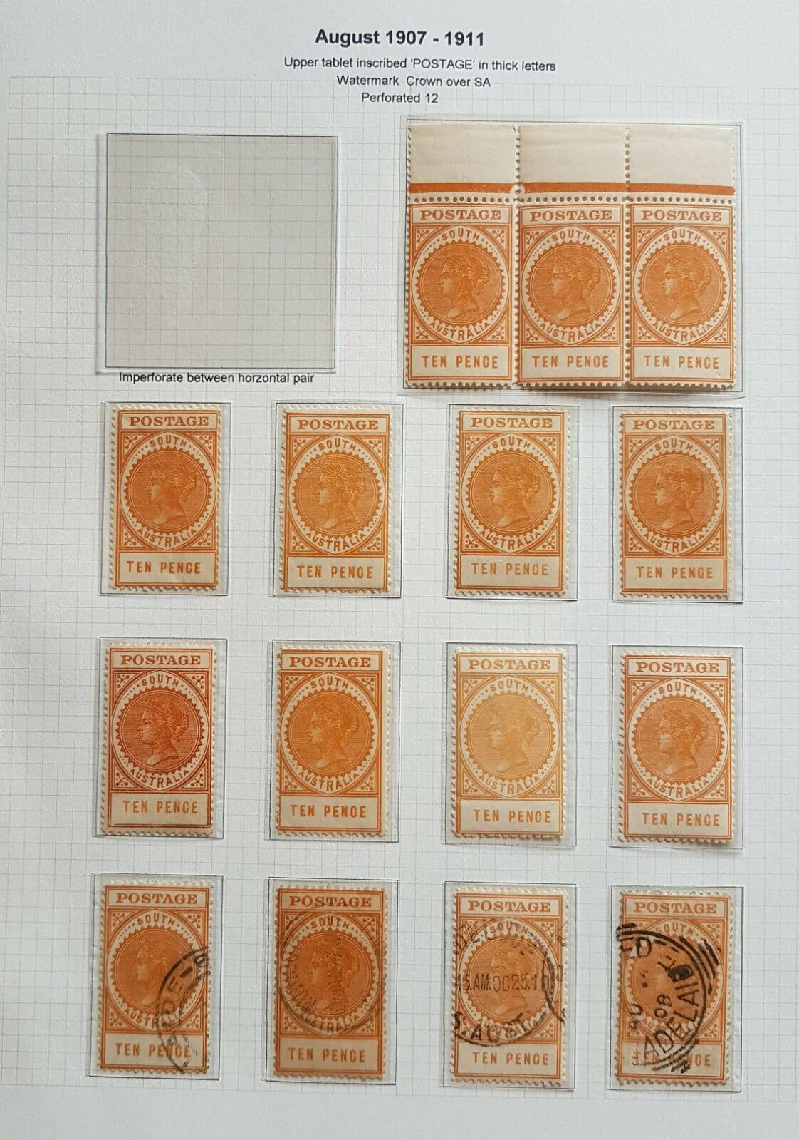 SA South Australia 1904 long types on 9 pages including rare £1 Perf SA pair M - Image 5