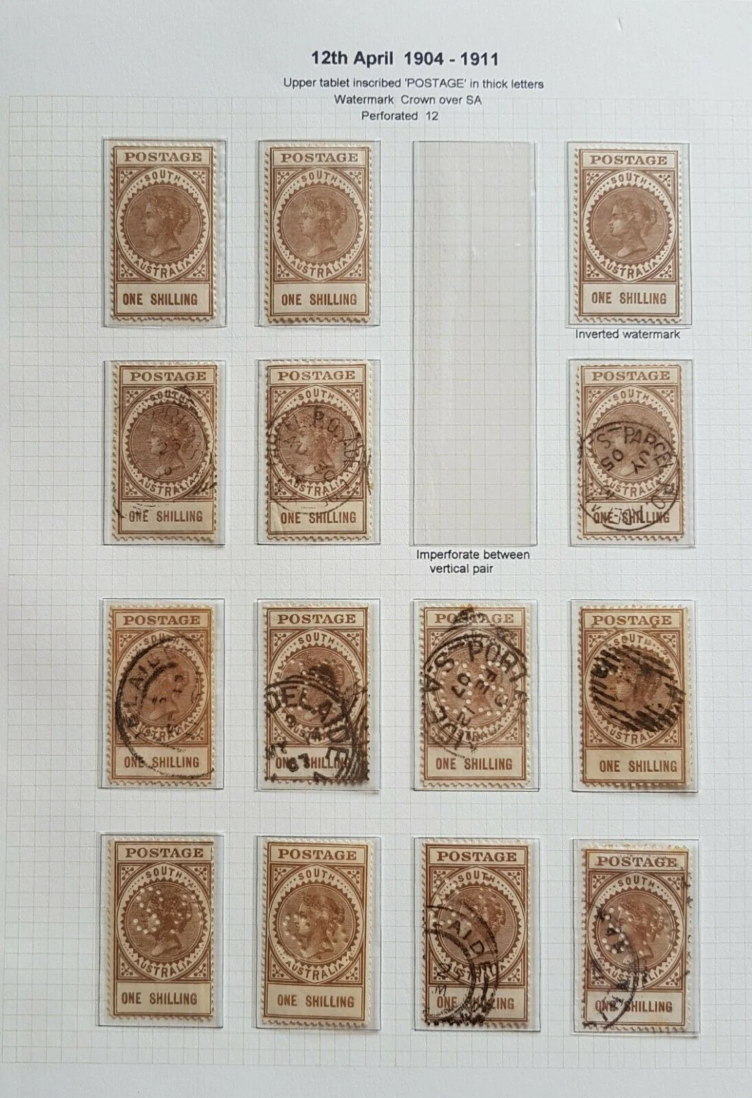 SA South Australia 1904 long types on 9 pages including rare £1 Perf SA pair M - Image 6