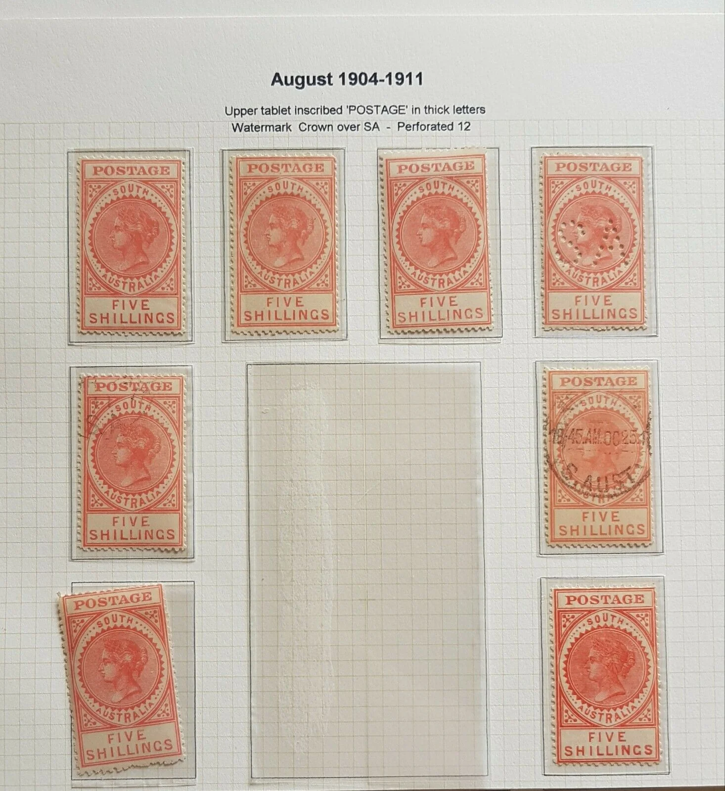SA South Australia 1904 long types on 9 pages including rare £1 Perf SA pair M - Image 8