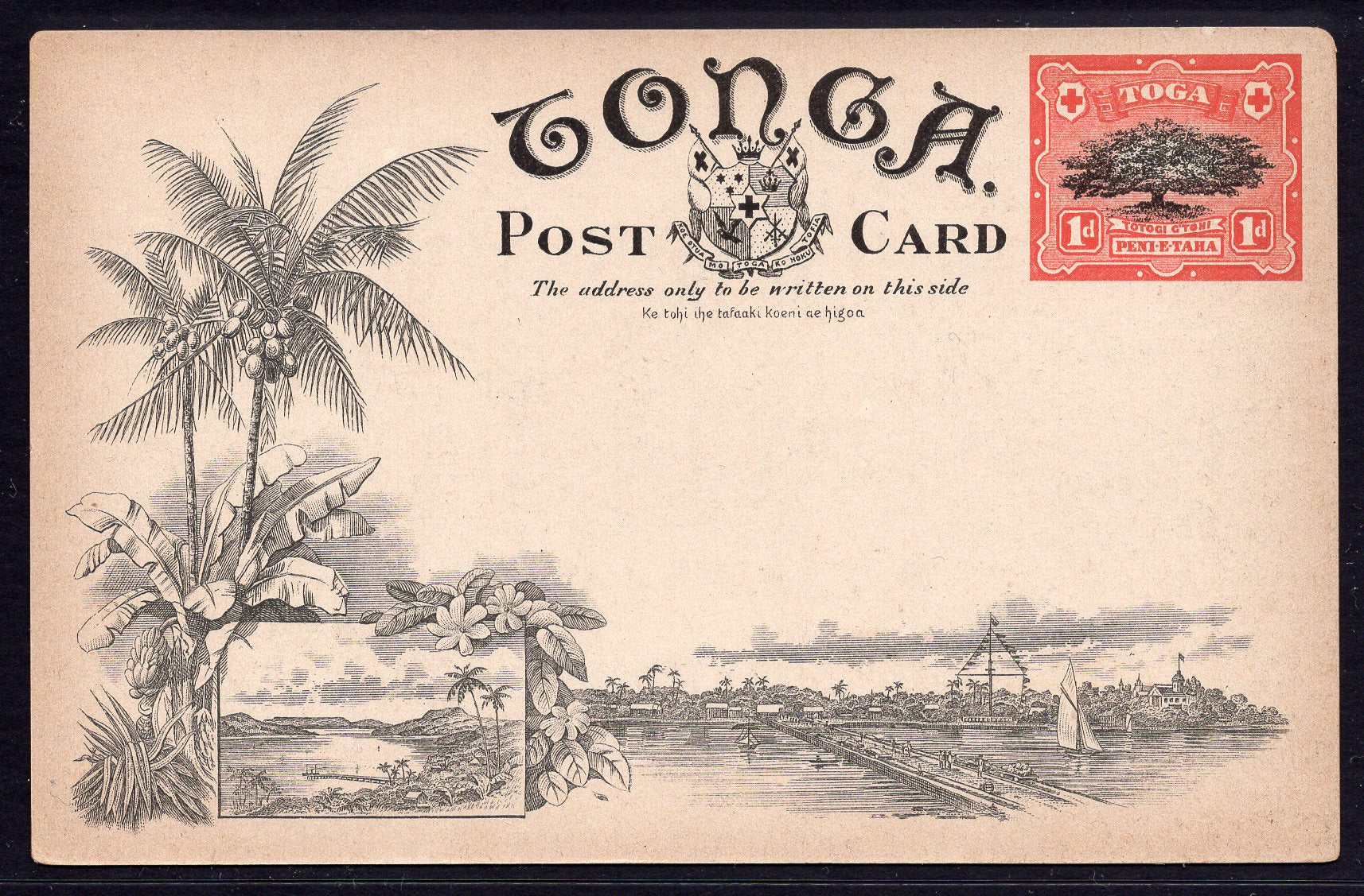 Tonga Toga 1d Stamp The Orange Groves of Tonga Postcard Mint - Image 2