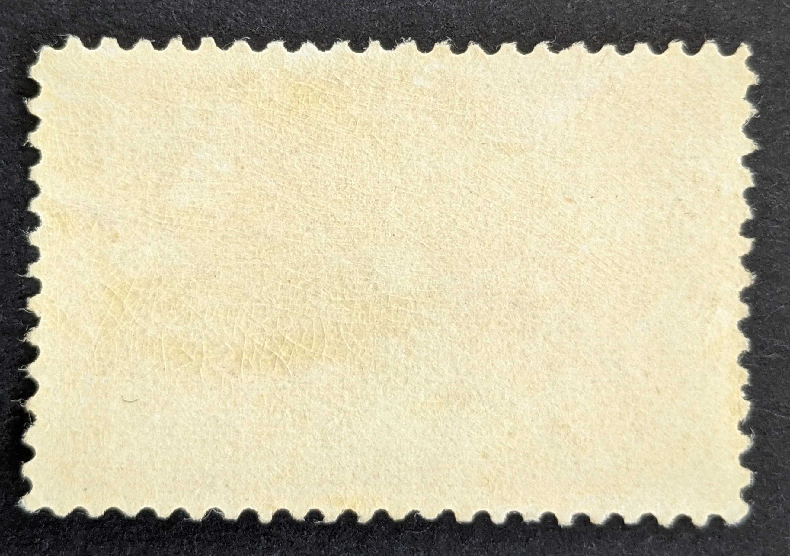 USA Scott# 241 $1 red Columbus MUH - Image 2