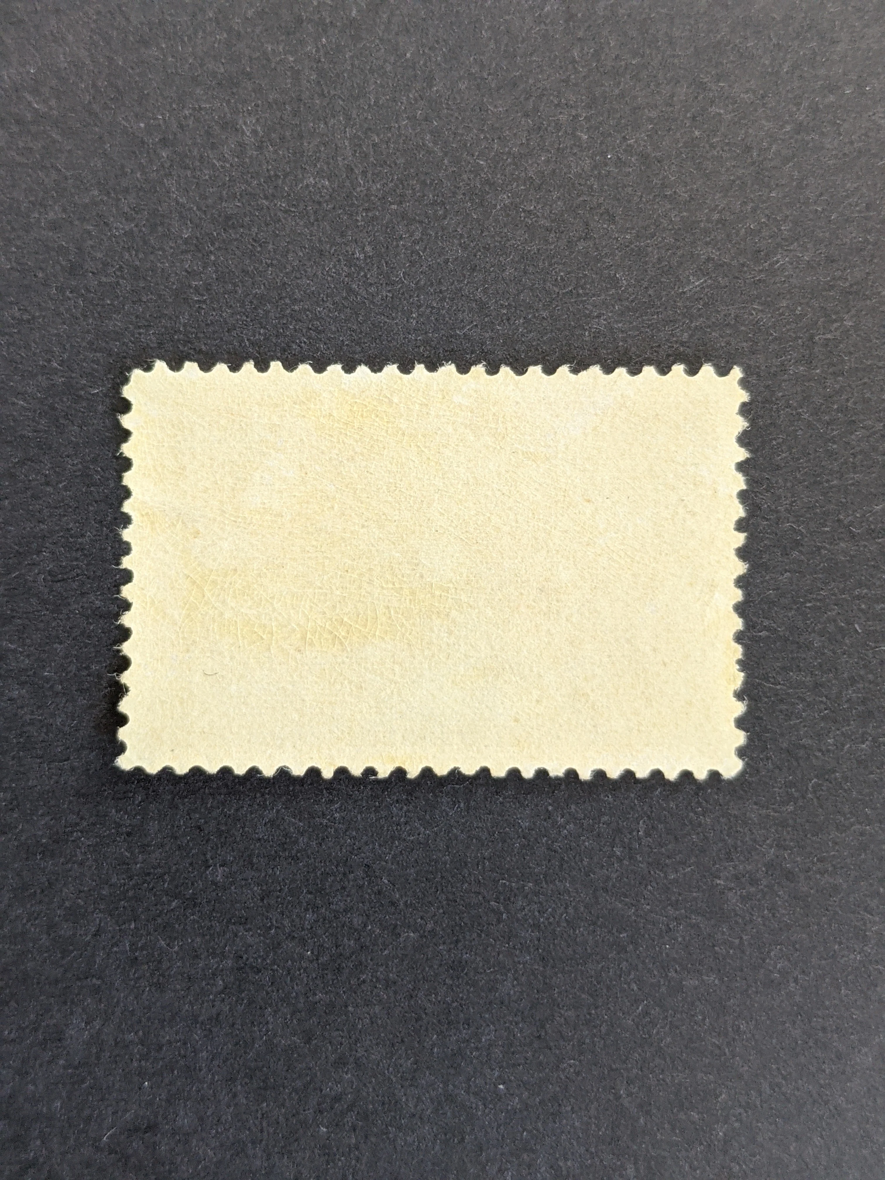 USA Scott# 241 $1 red Columbus MUH - Image 4