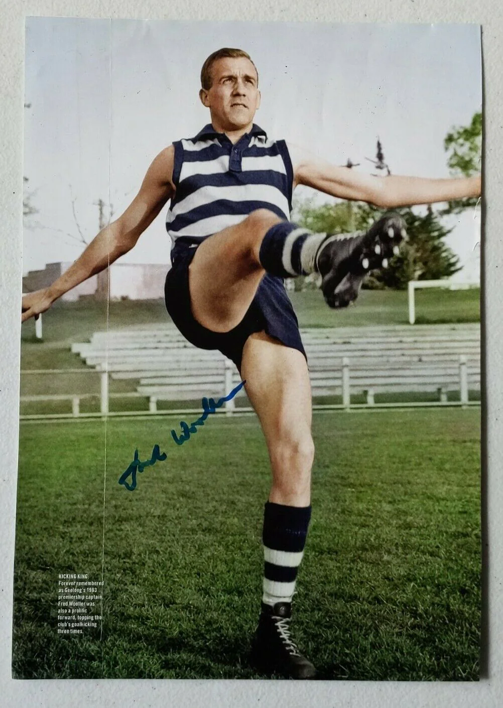 VFL Geelong Football Club Fred Wooller Hand Signed Picture