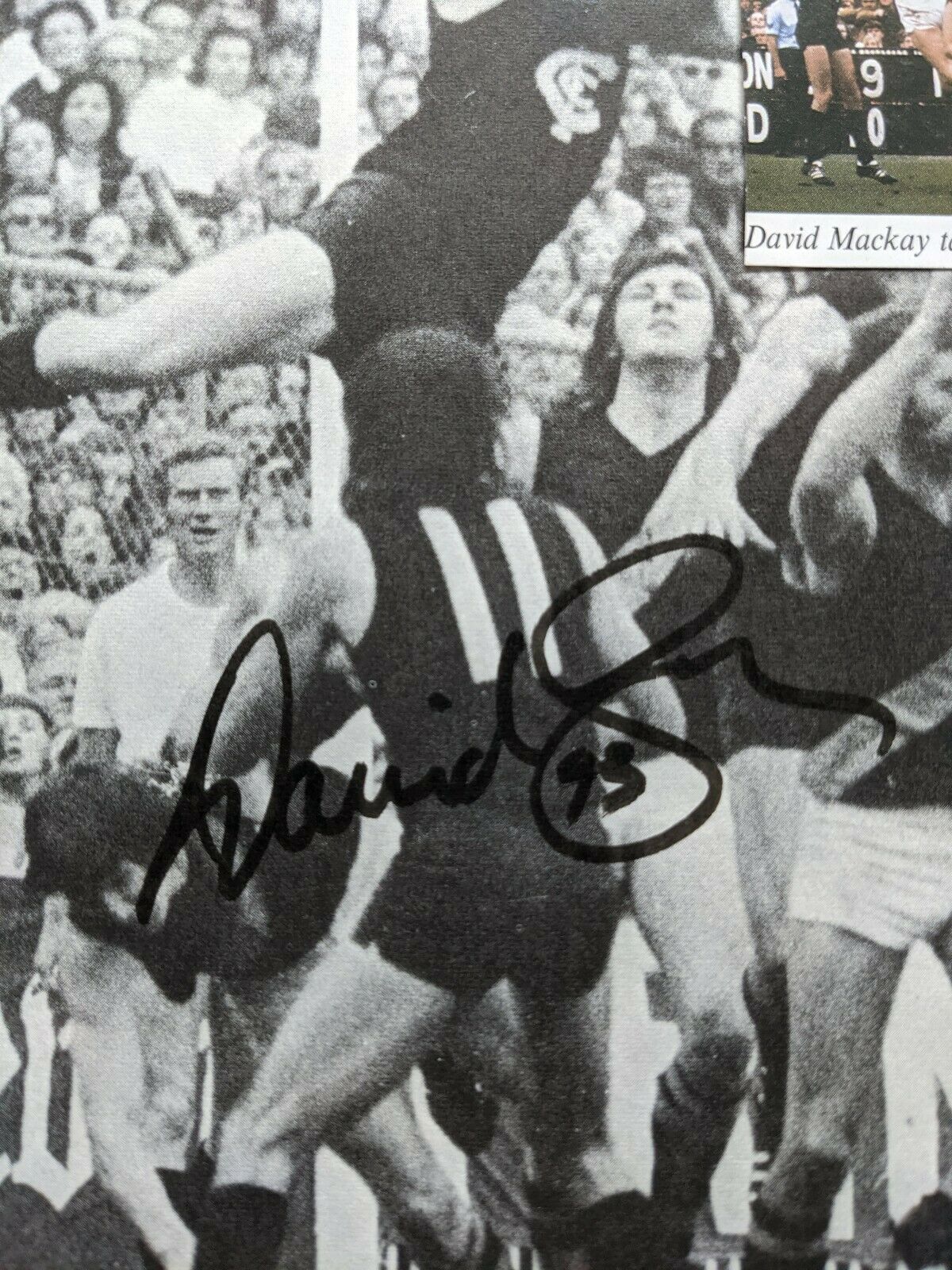 VFL Paper Cutout Hand Signed David McKay Carlton - Image 2